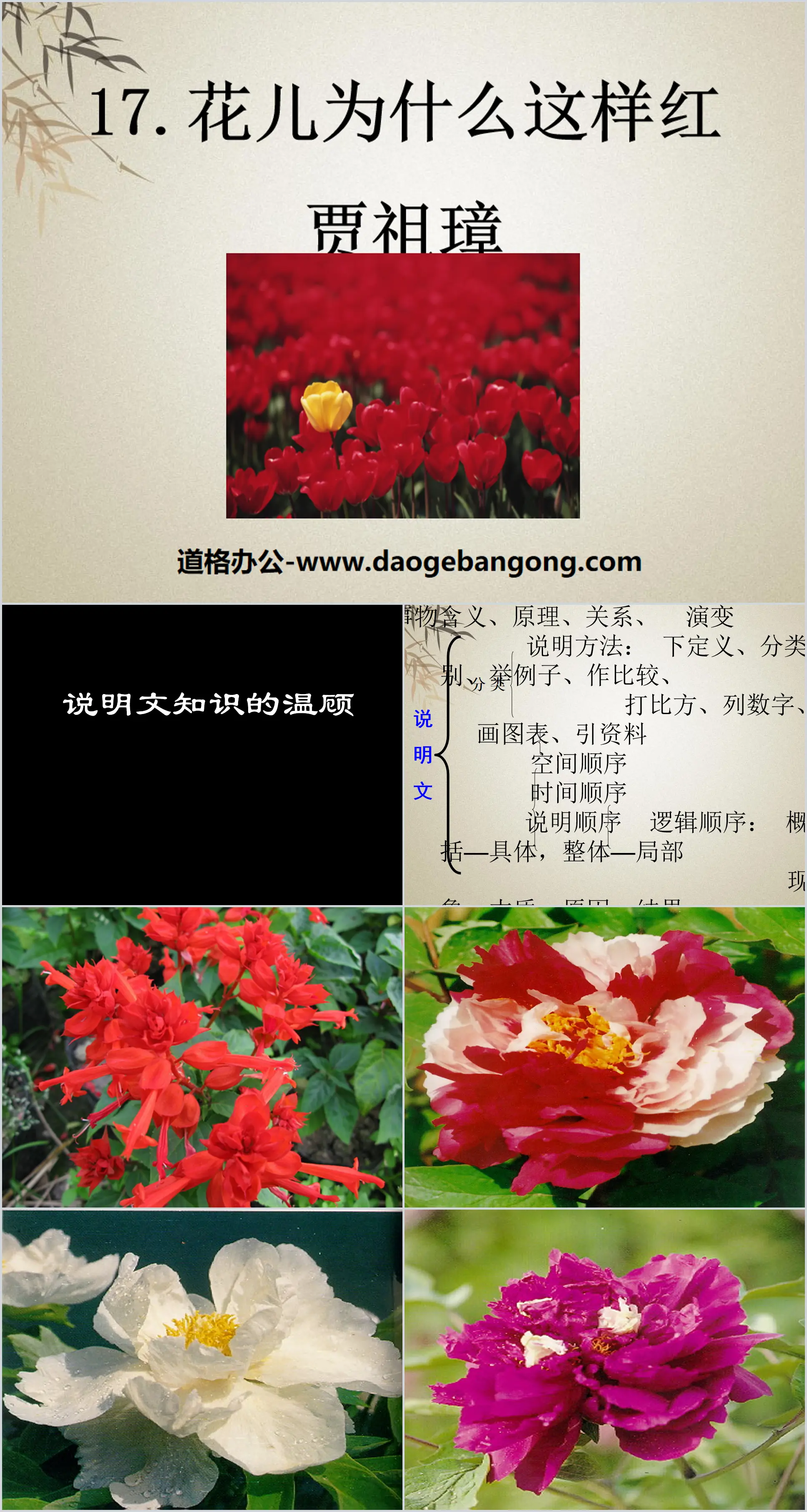 "Why are the flowers so red" PPT courseware 9