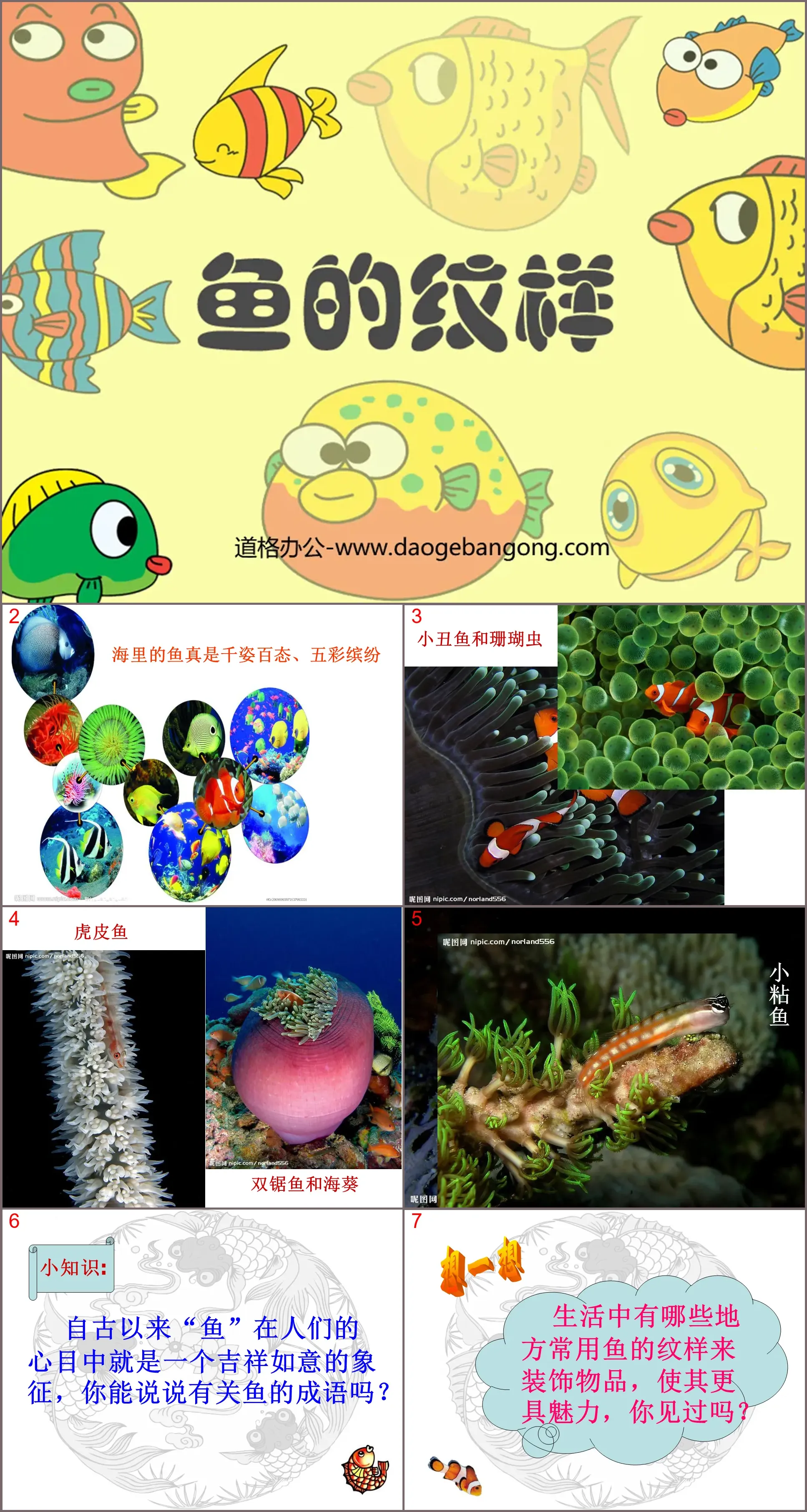 "Fish Patterns" PPT courseware