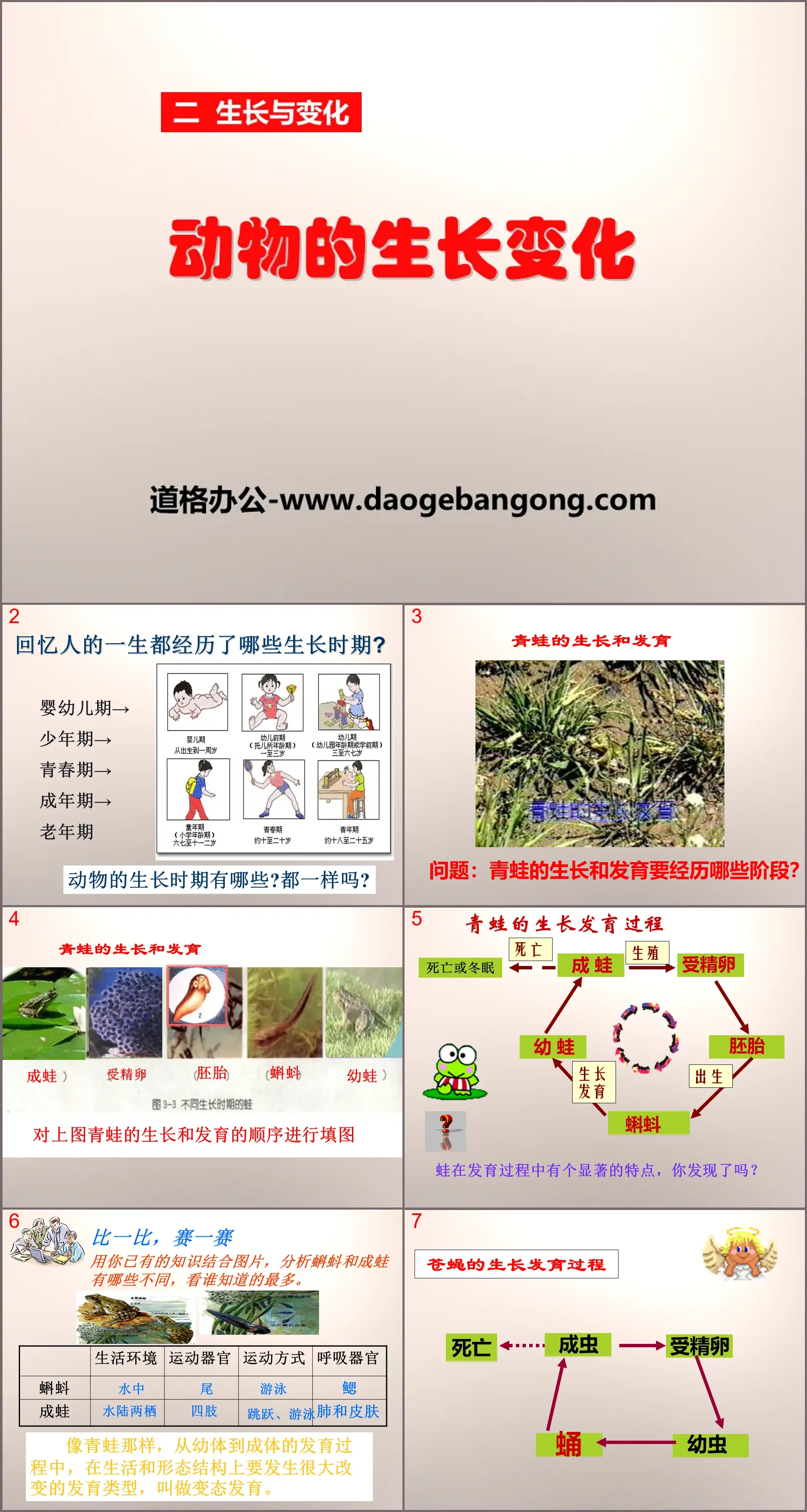 《動物的生長變化》生長與變化PPT課件