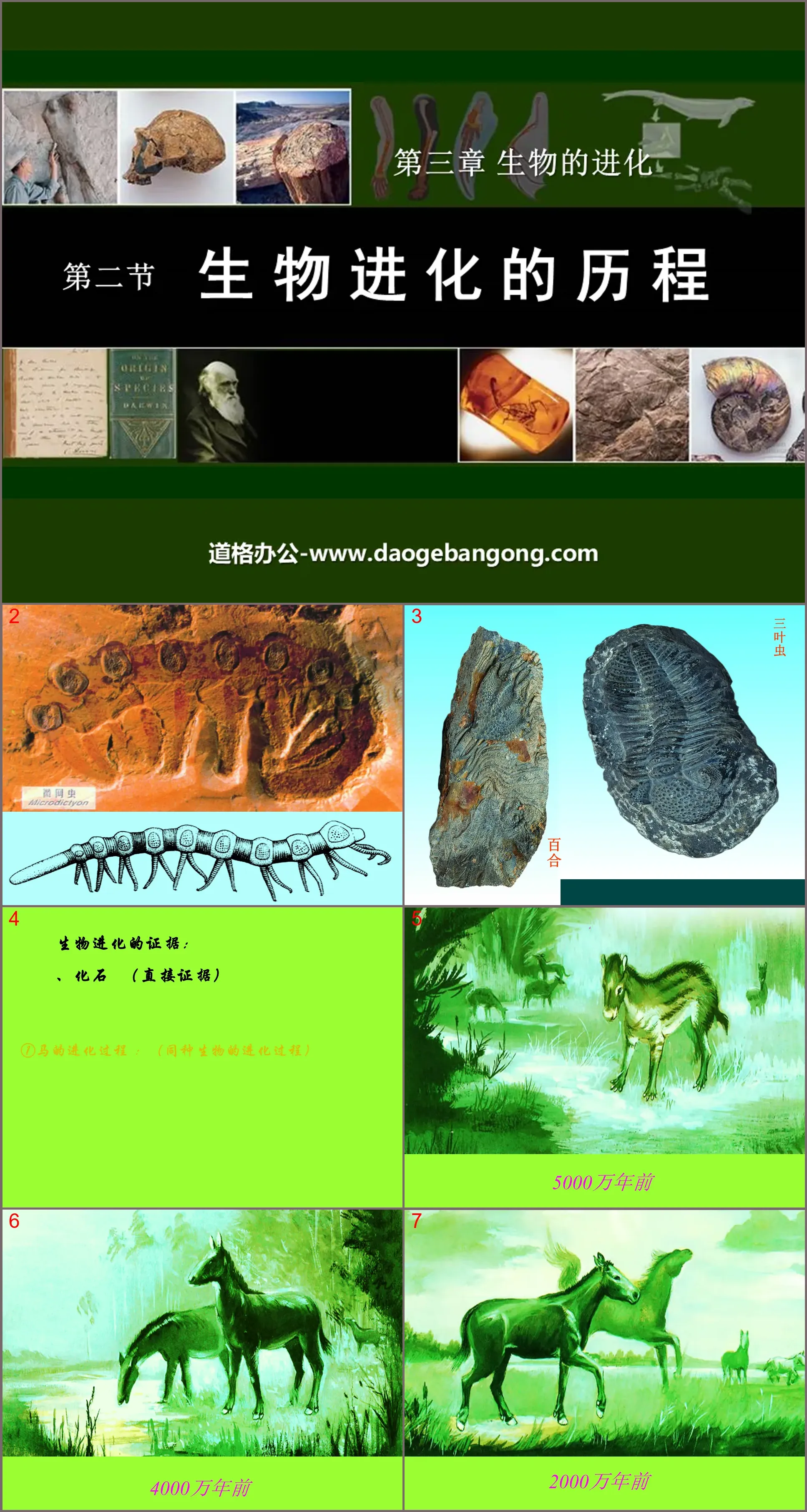 "The Process of Biological Evolution" PPT courseware on the evolution of living things