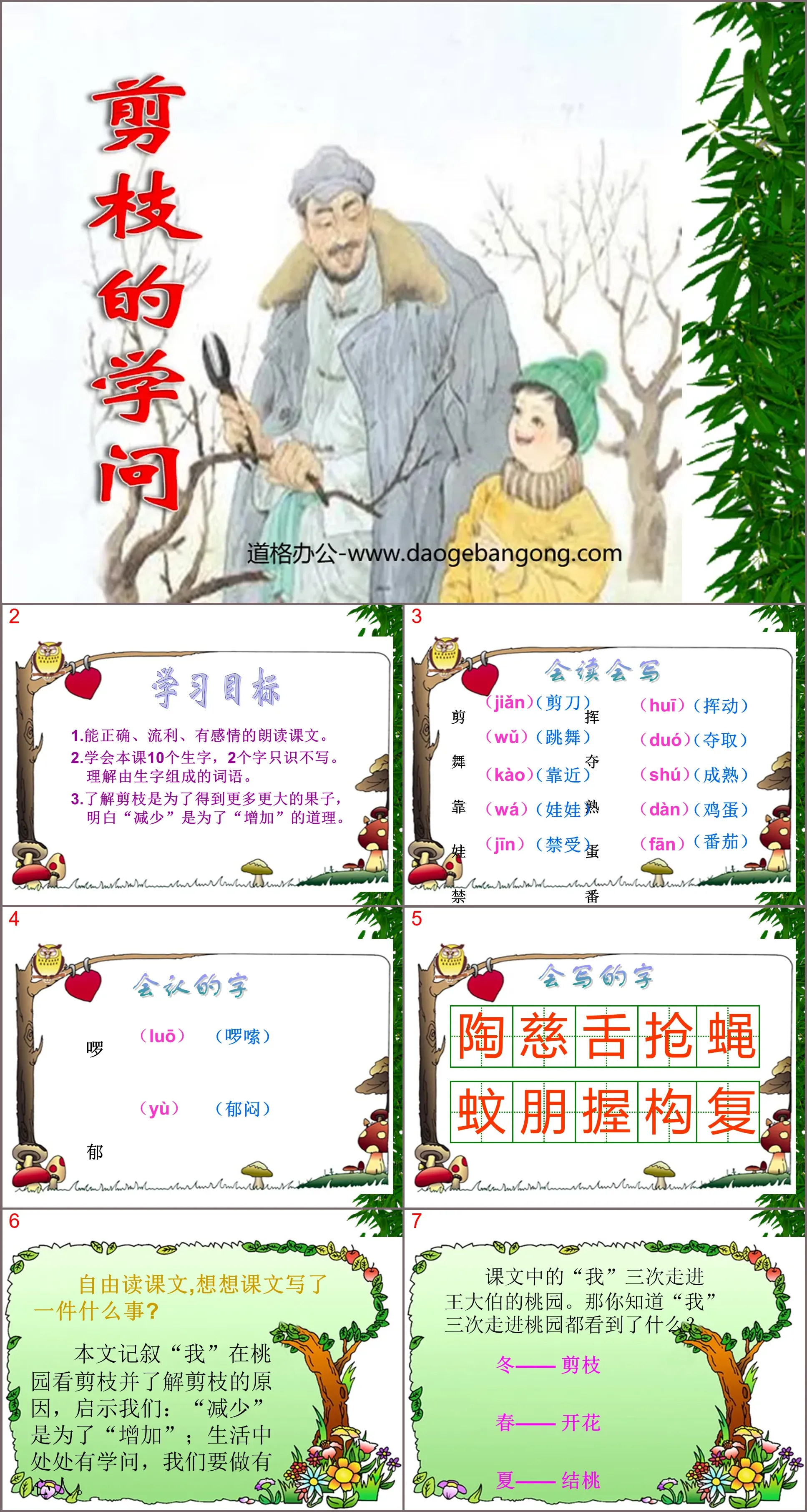 《剪枝的学问》PPT课件4