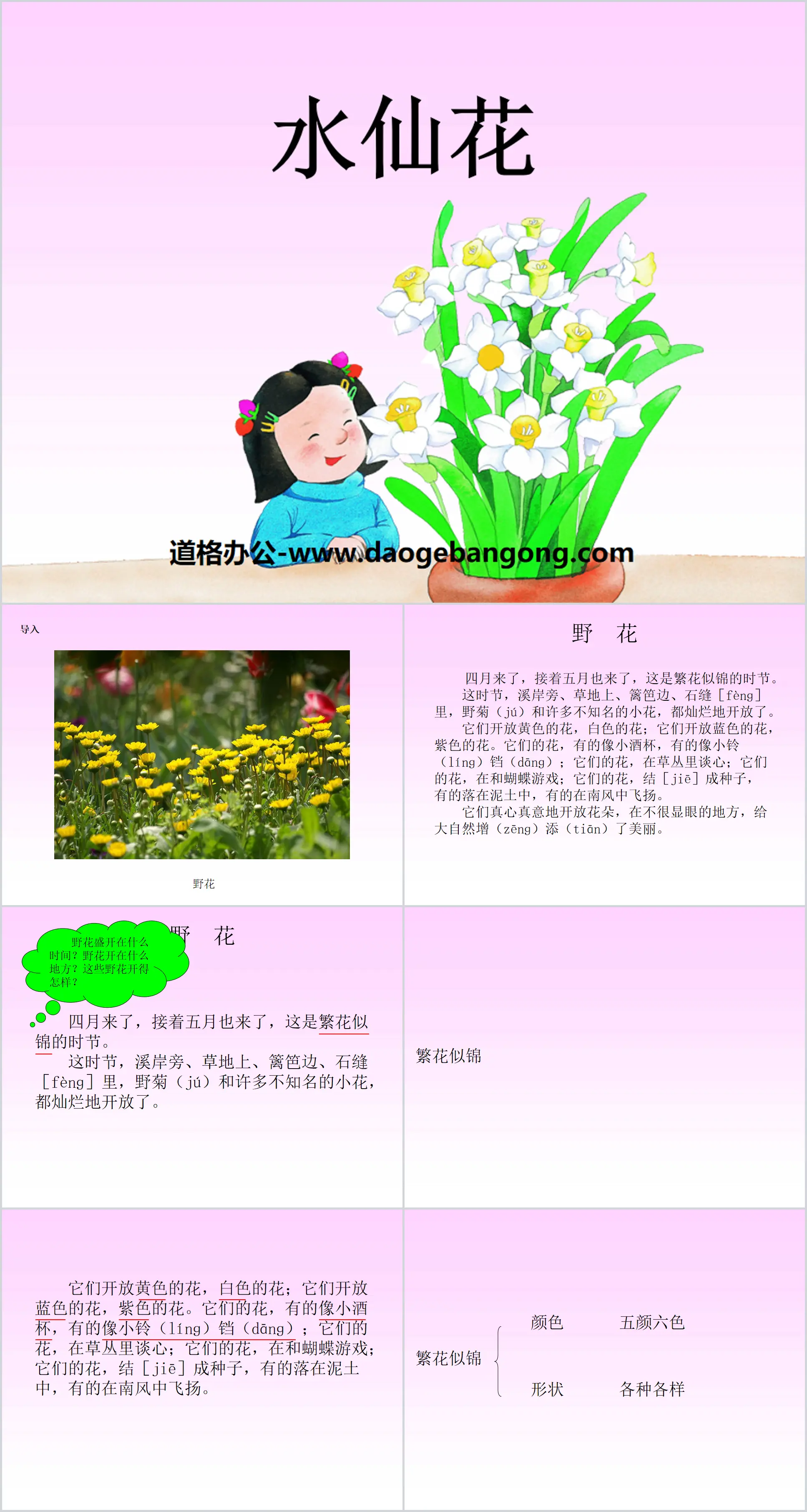 《水仙花》PPT课件
