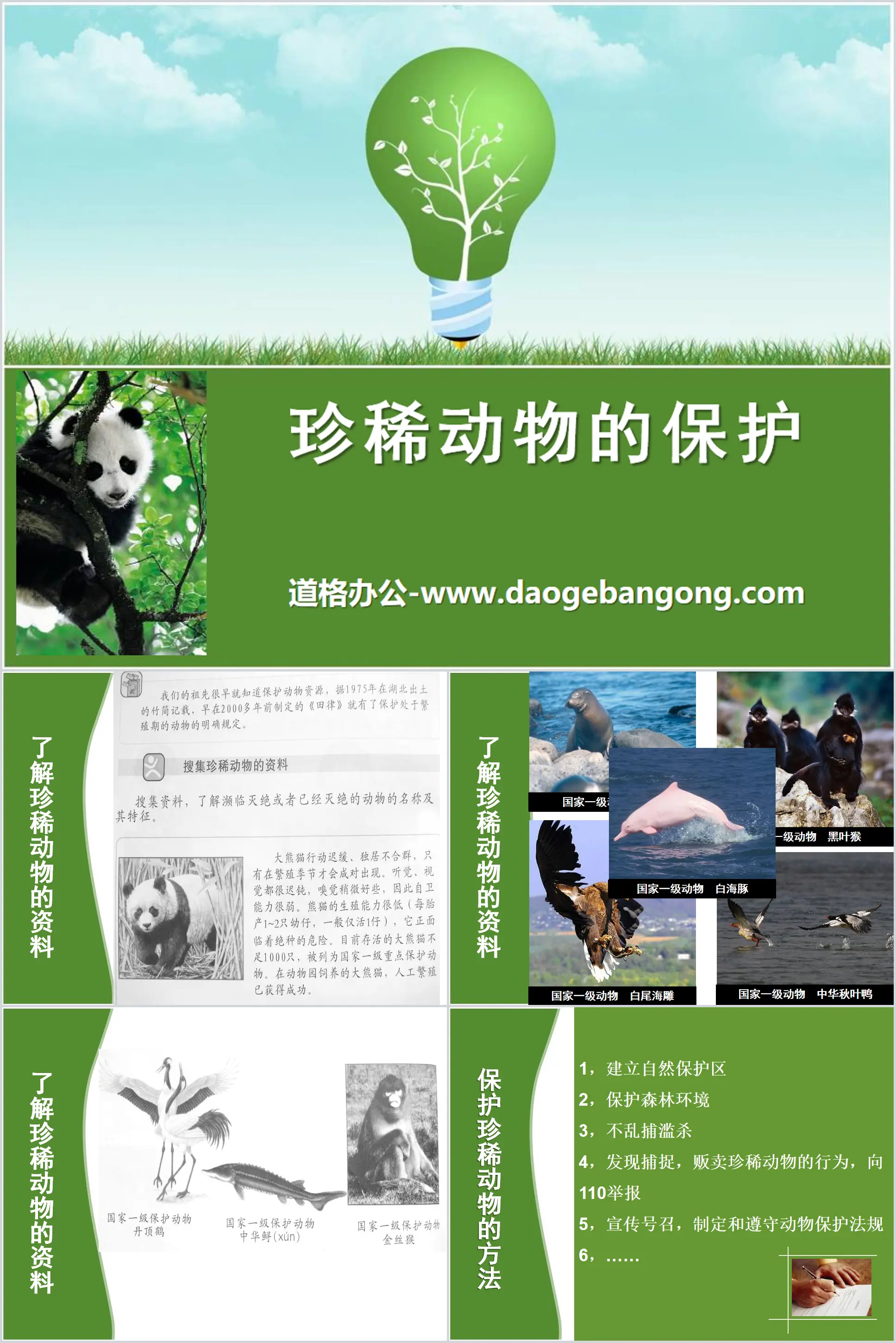 《珍稀動物的保育》多種多樣的動物PPT課件