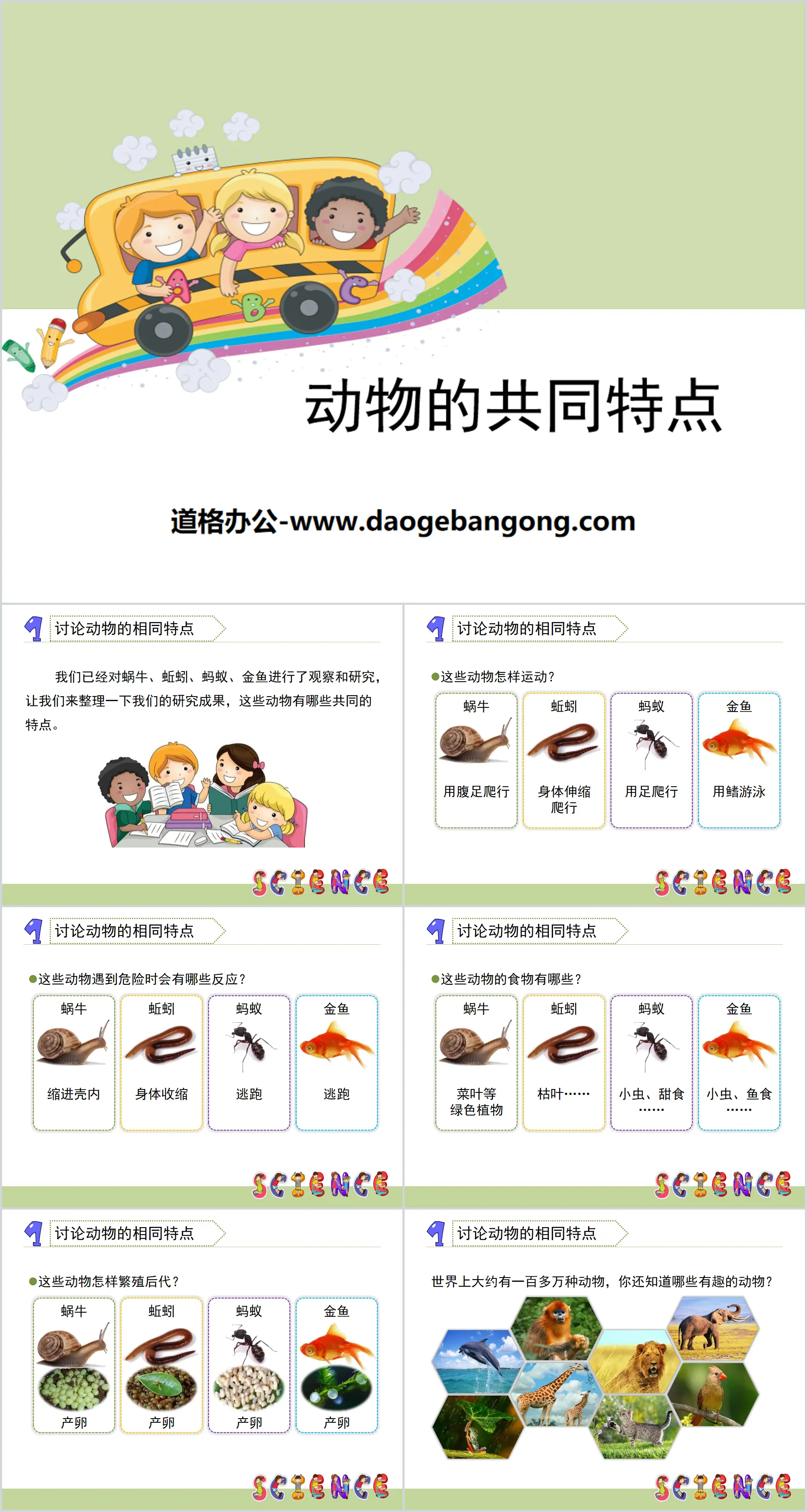 《動物的共同特徵》動物PPT