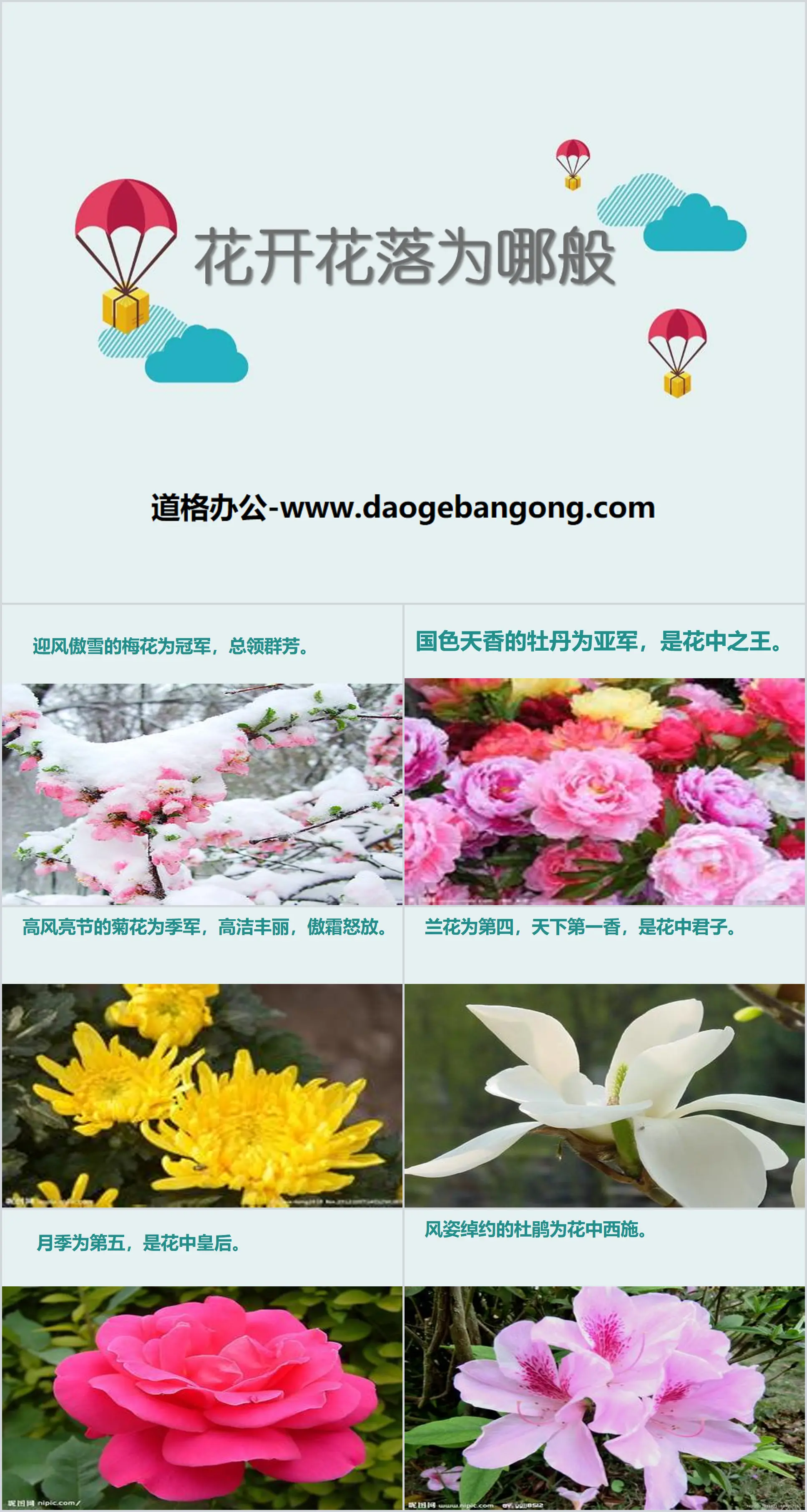 《 花开花落为哪般 》PPT