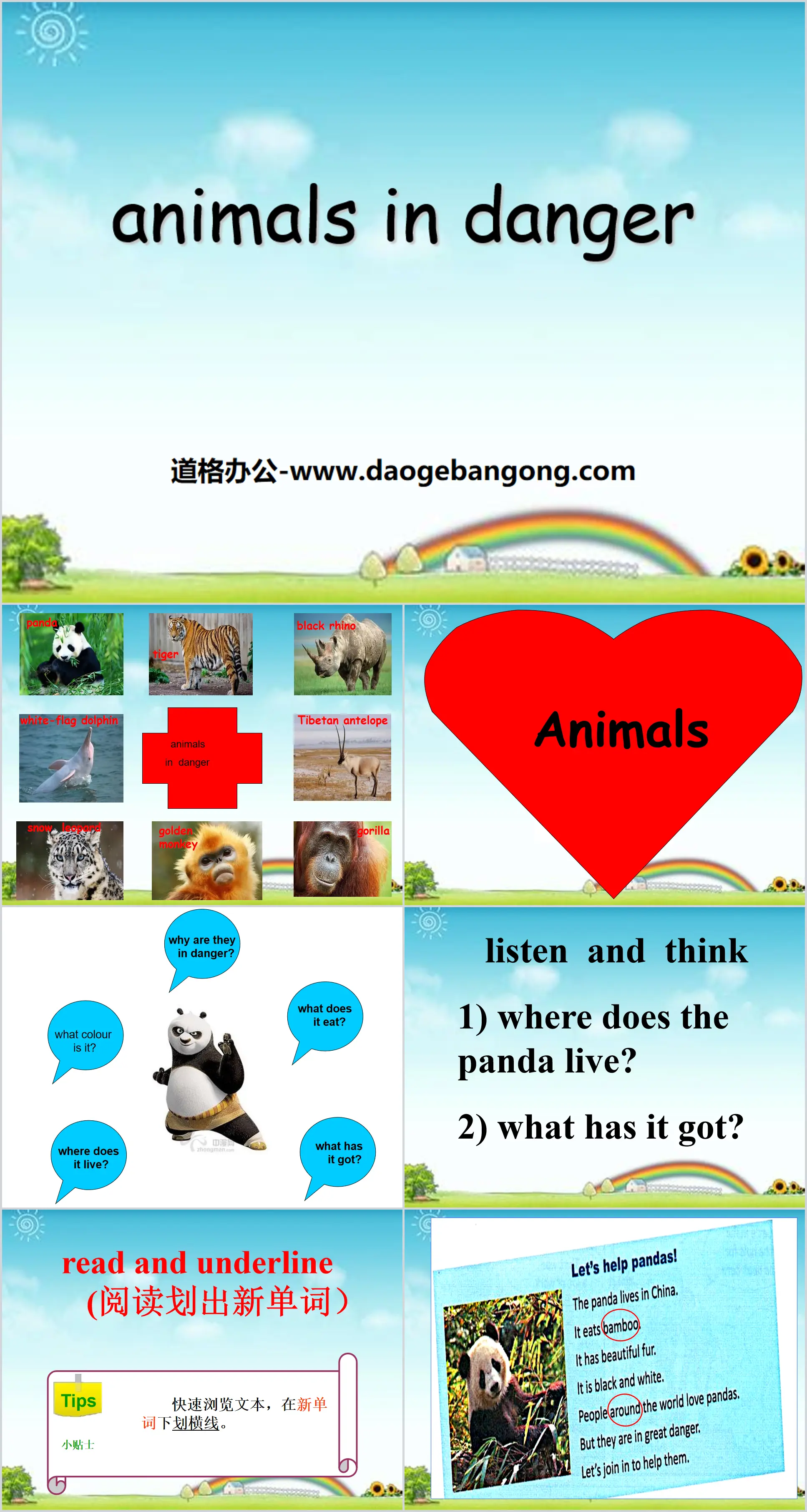 《Animals in danger》PPT