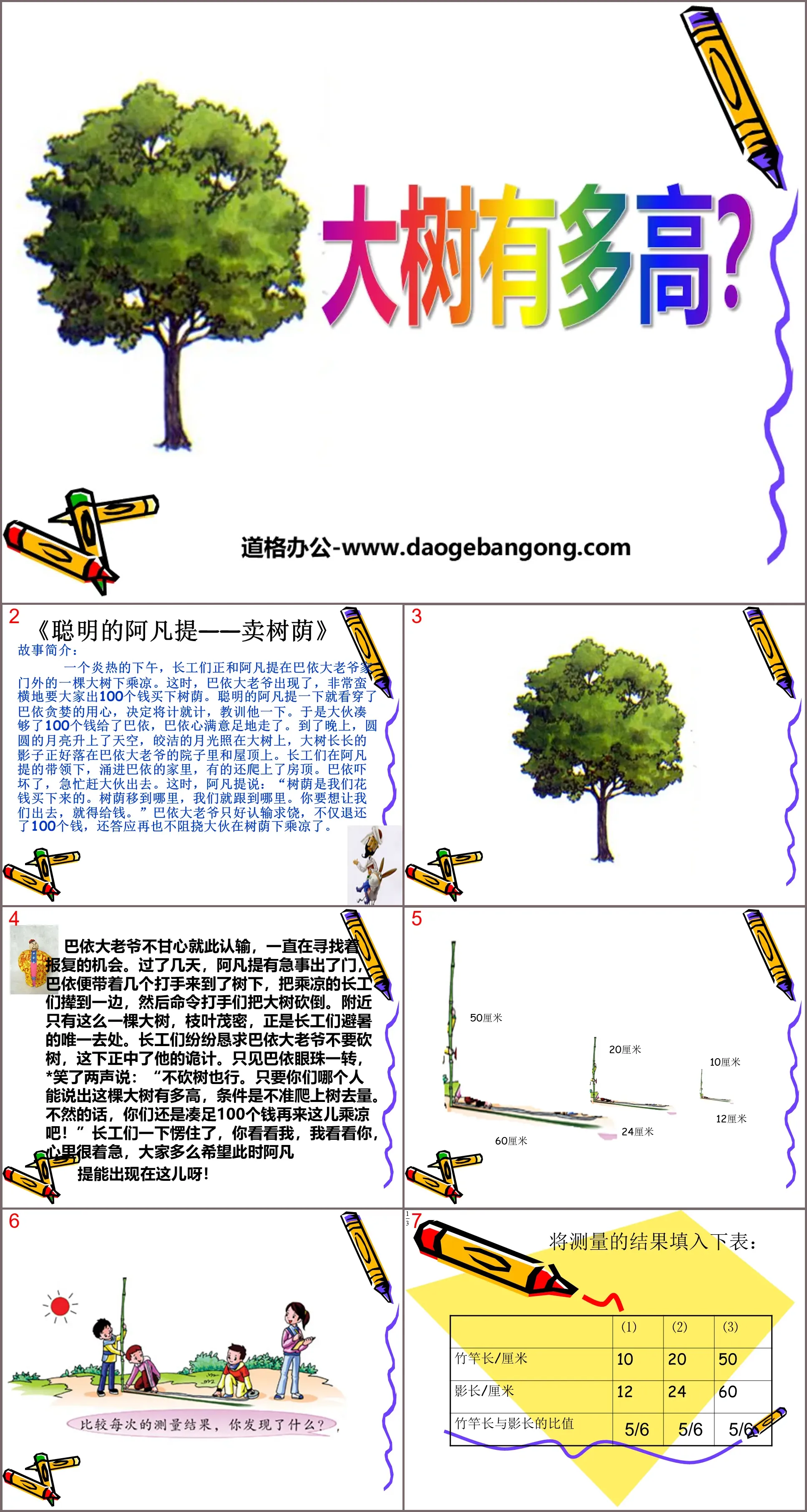 《大树有多高》正比例和反比例PPT课件2