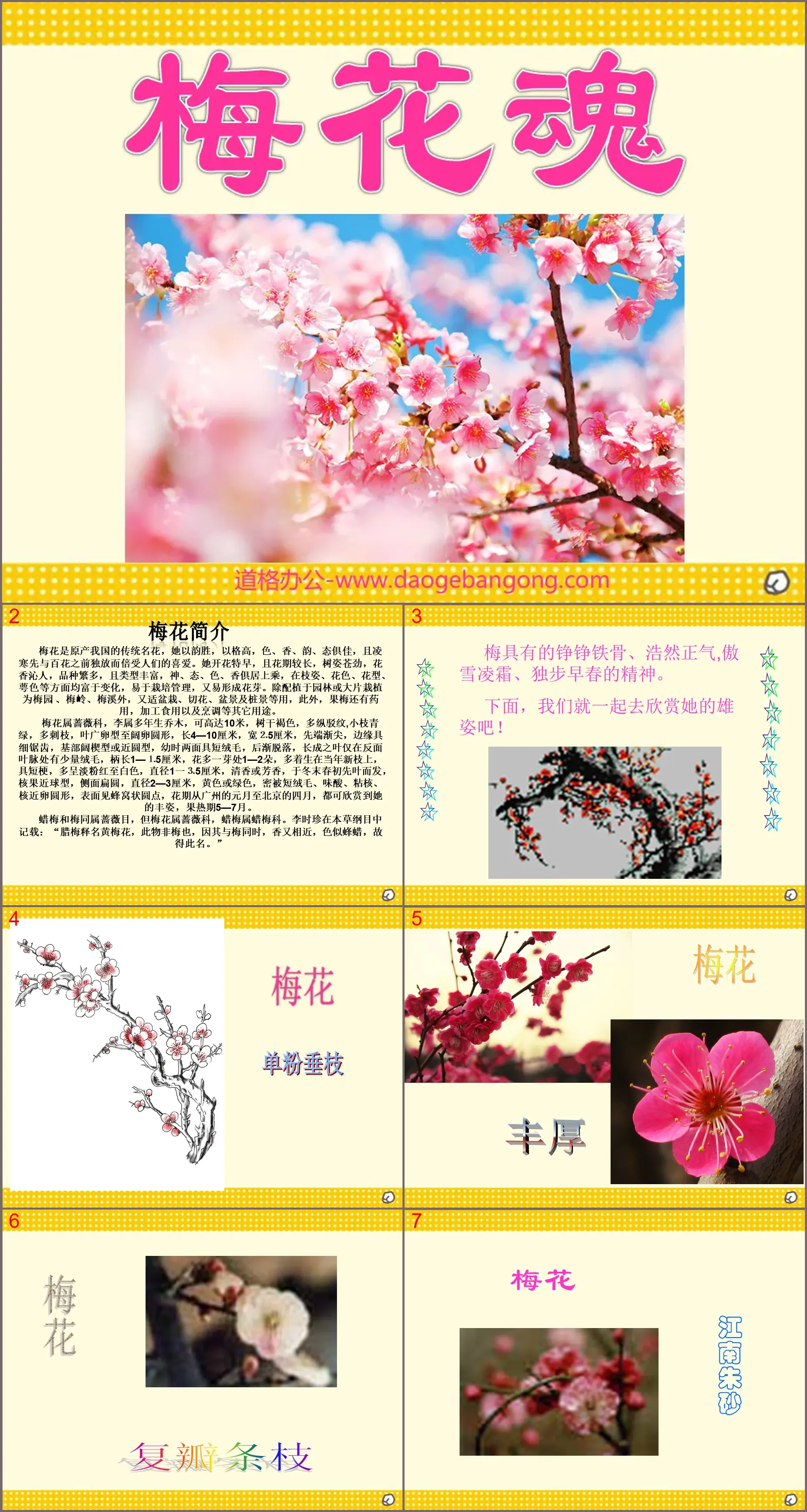 "Plum Blossom Soul" PPT courseware download 2