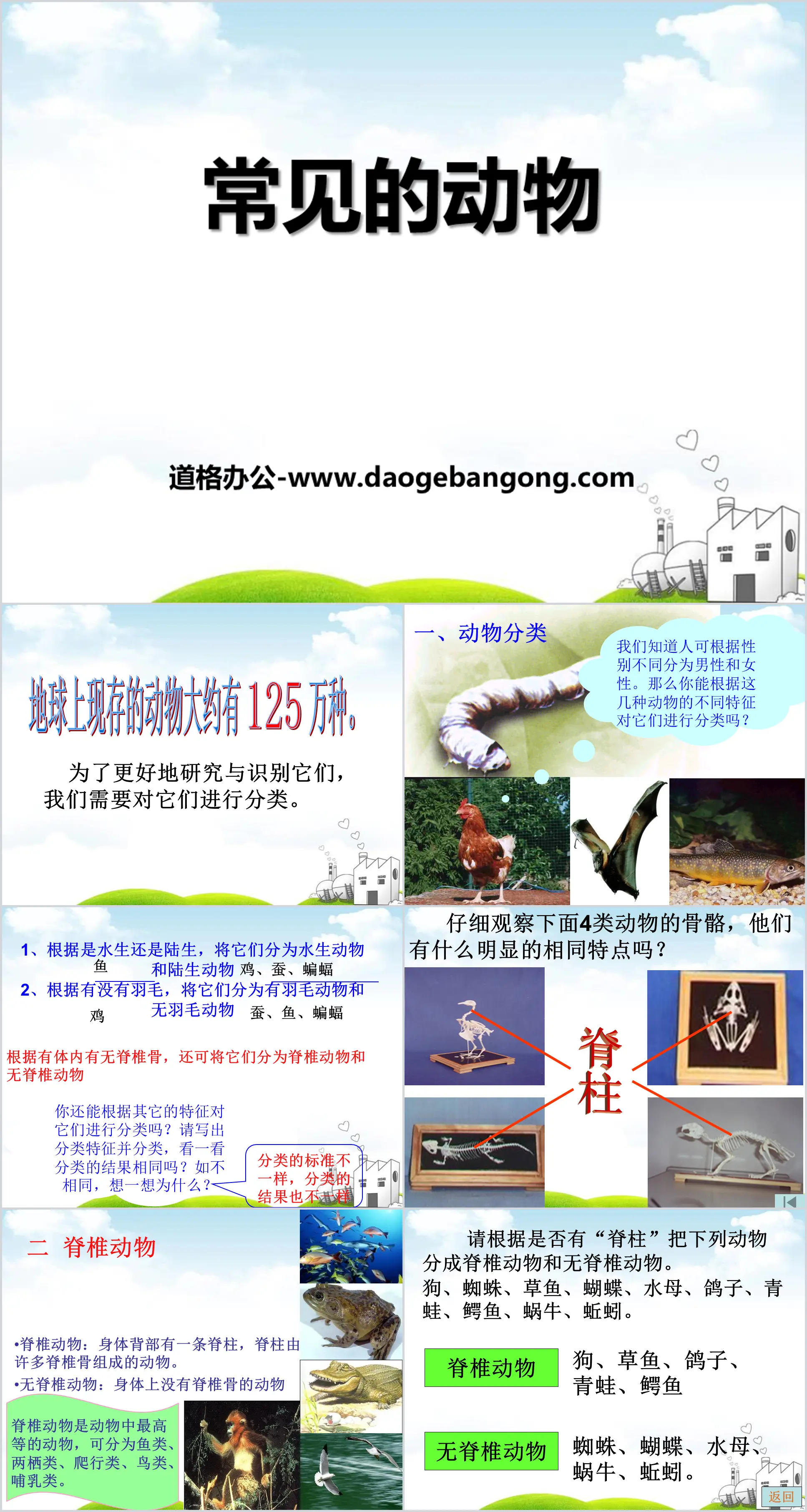 《常見的動物》PPT