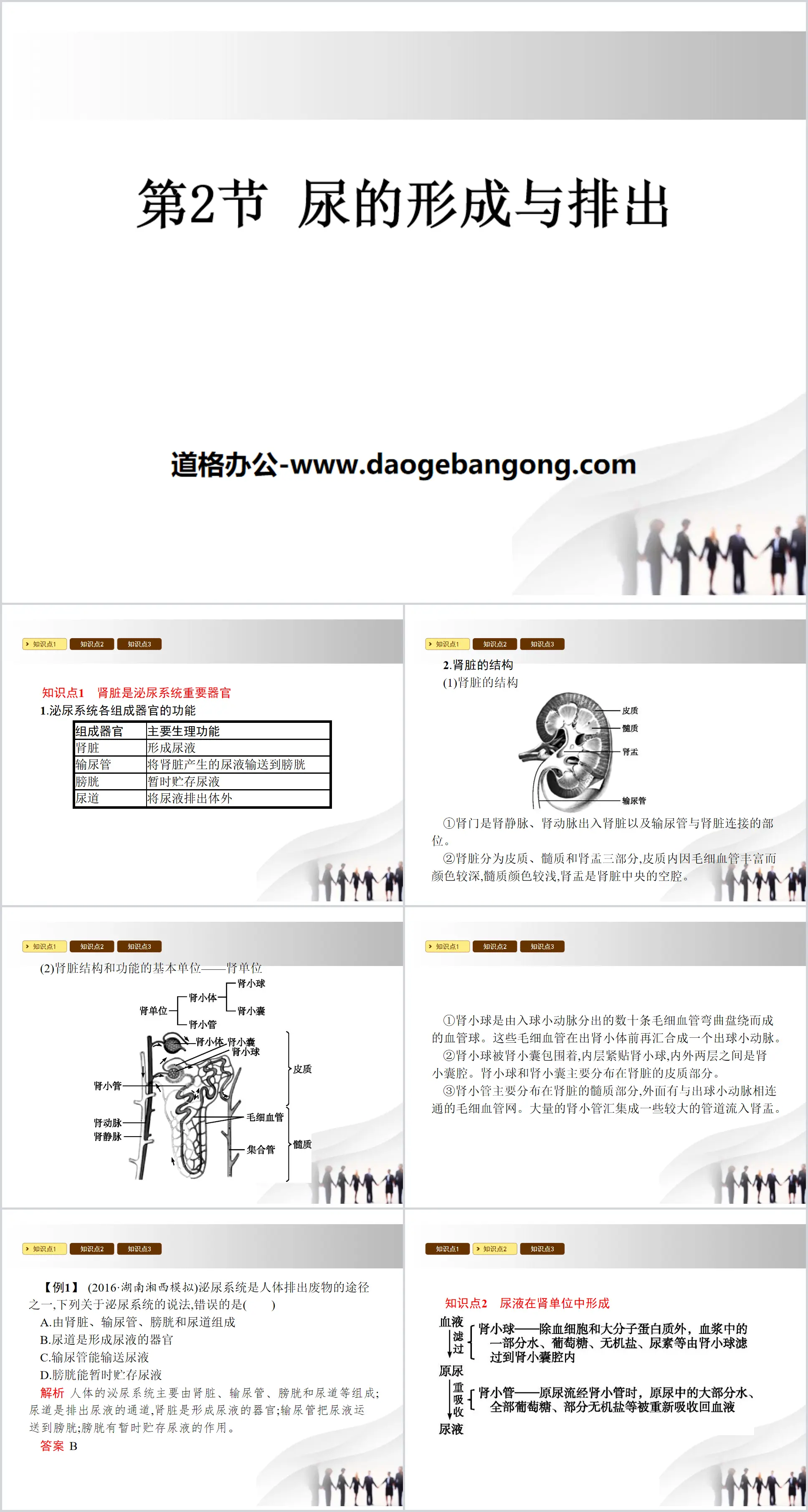 《尿的形成与排出》PPT下载
