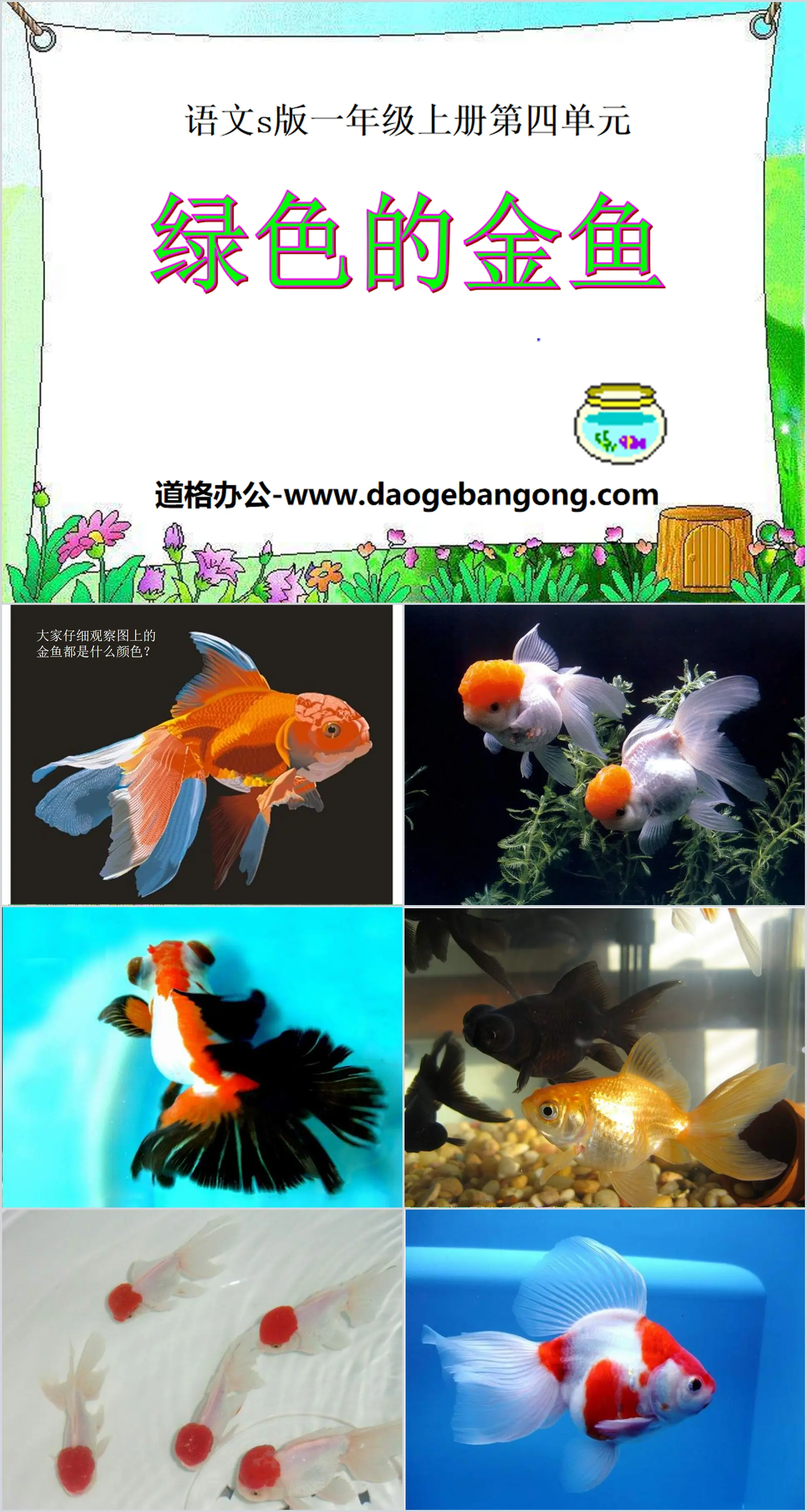 "Green Goldfish" PPT Courseware 2