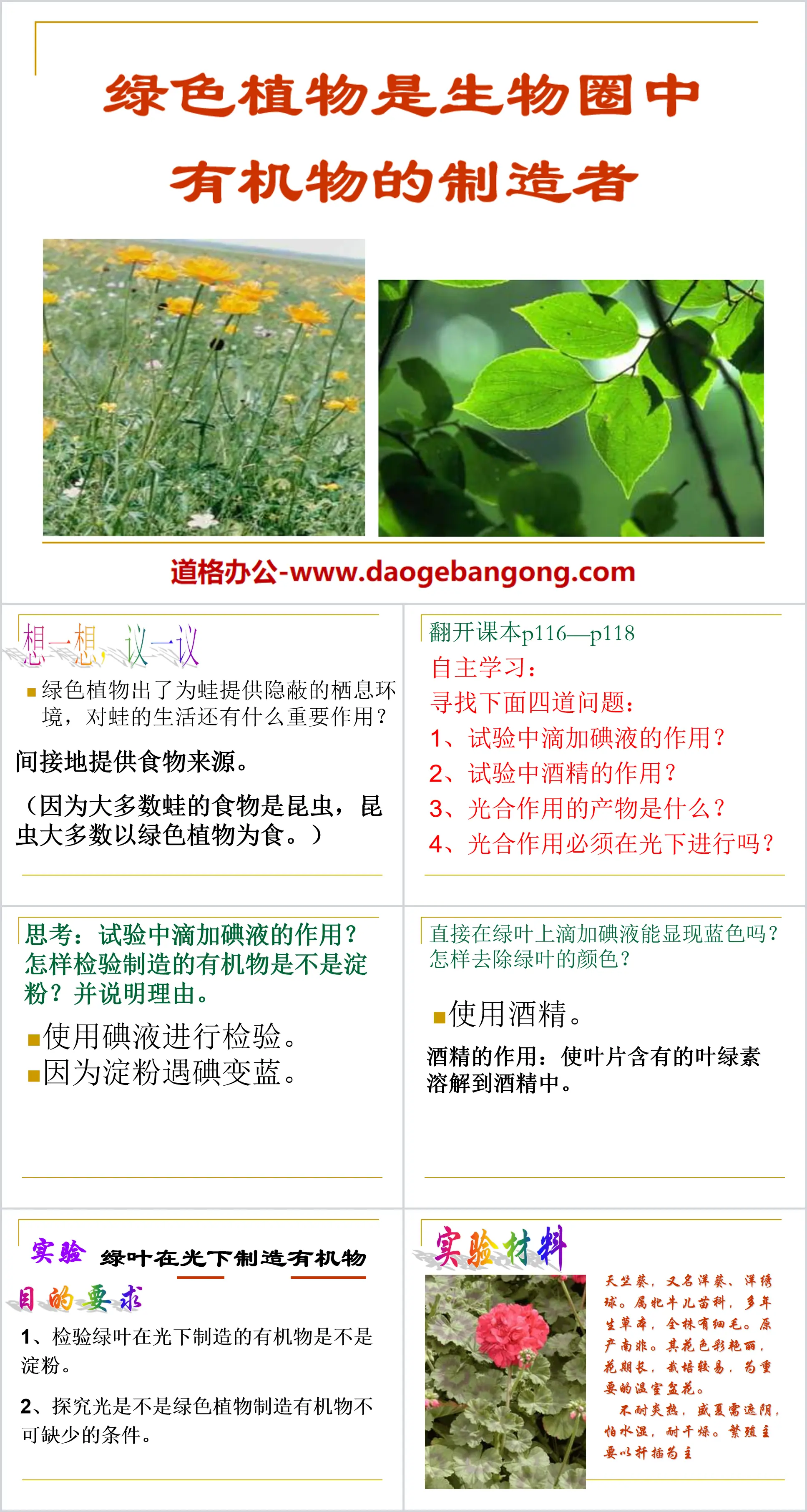 《绿色植物是生物圈中有机物的制造者》PPT课件5
