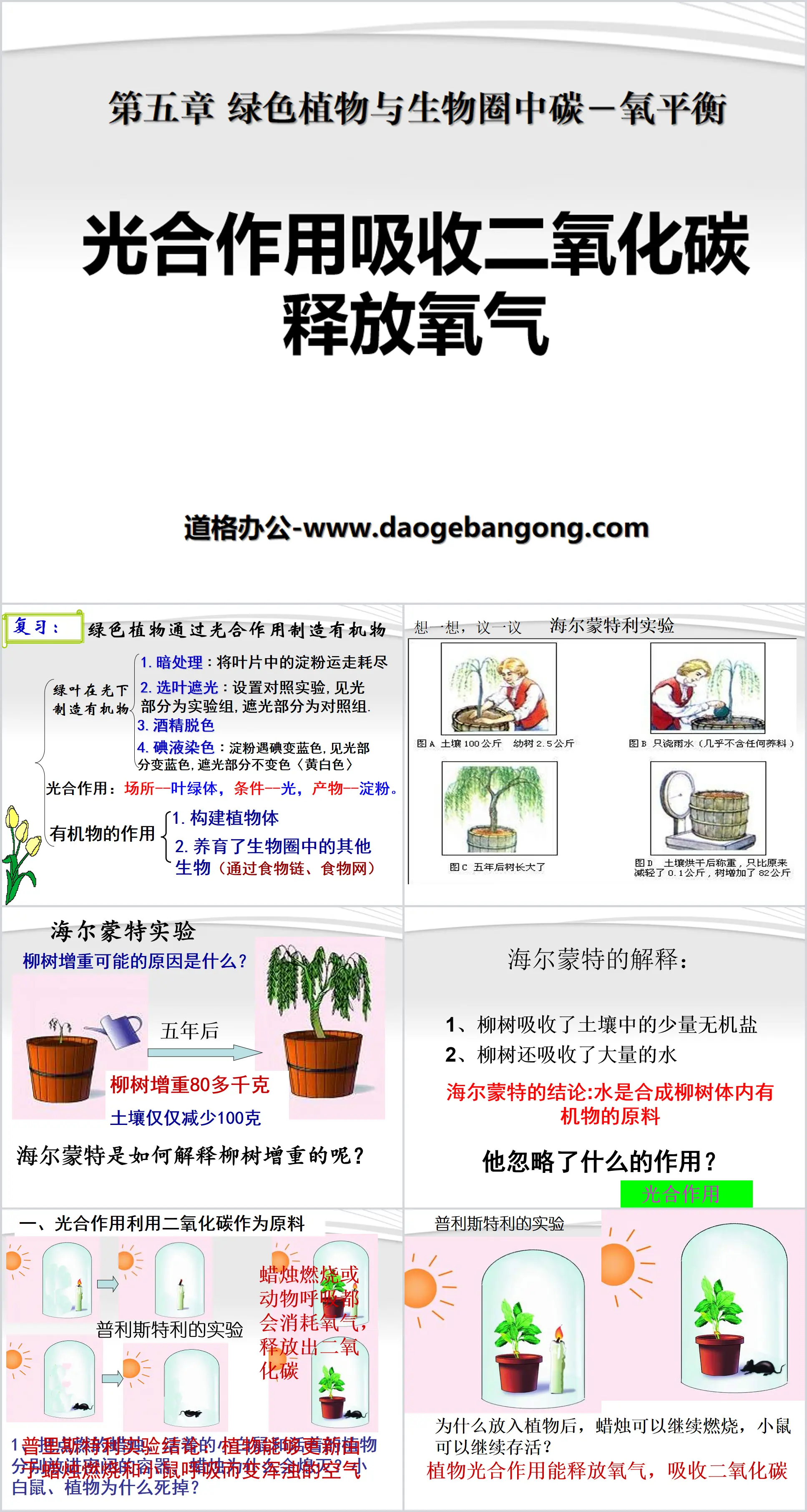 《光合作用吸收二氧化碳释放氧气》绿色植物与生物圈中碳-氧平衡PPT课件2
