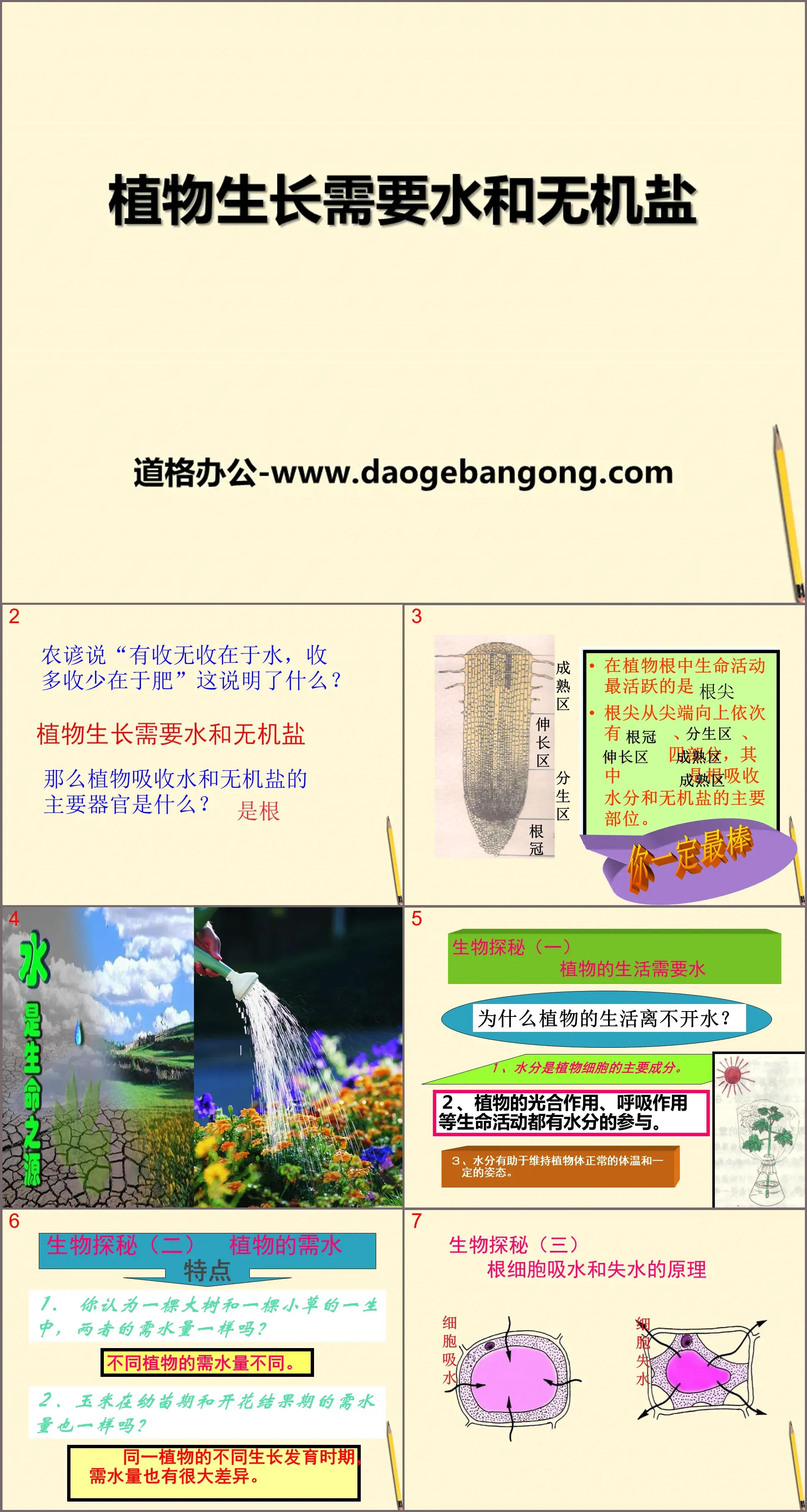 《植物生长需要水和无机盐》PPT