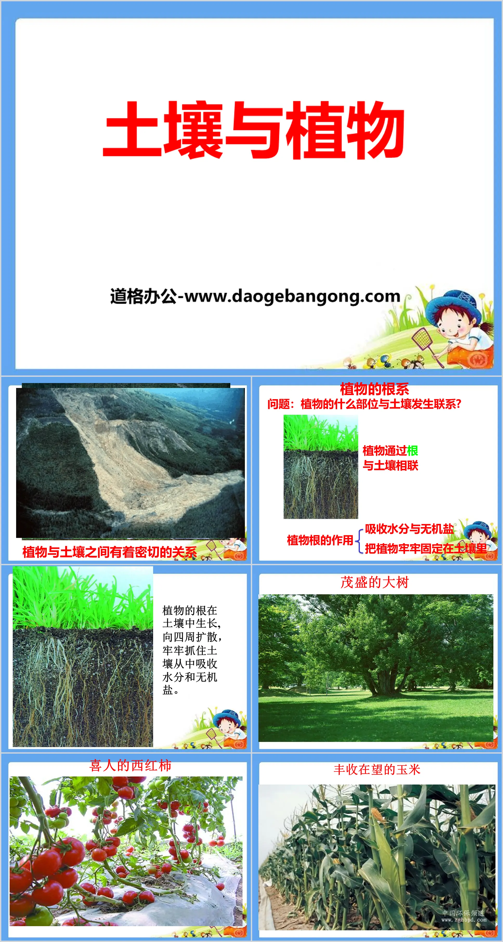 《土壤與植物 》PPT