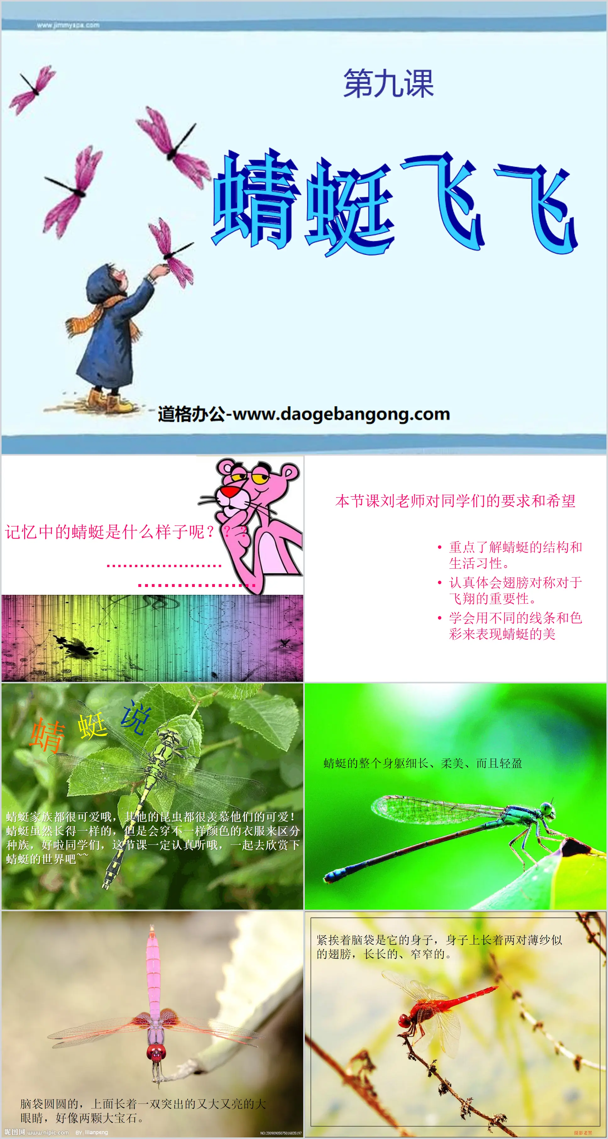 "Dragonfly Flying" PPT courseware