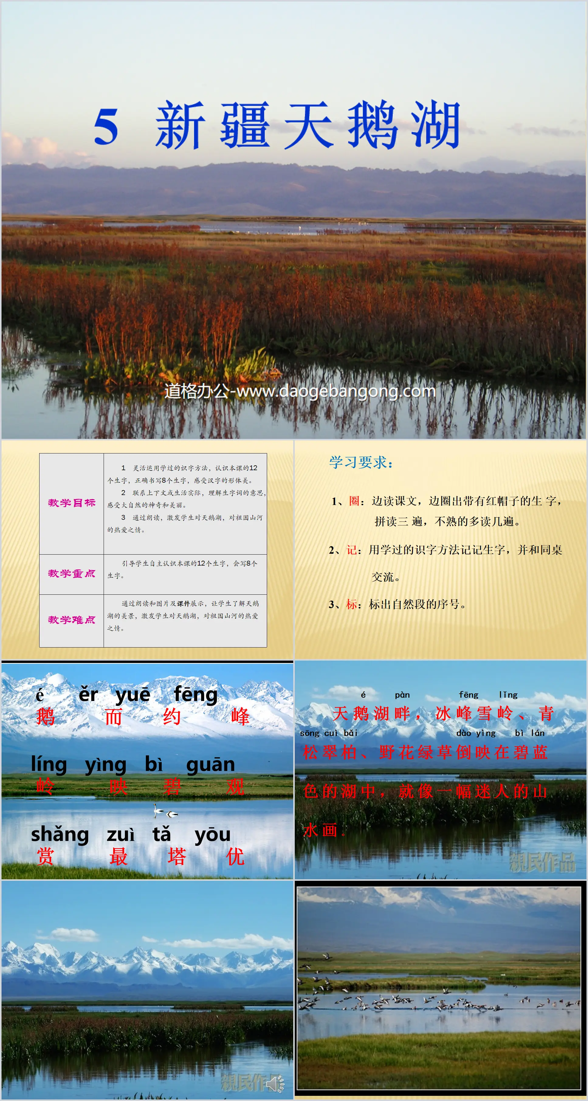 "Xinjiang Swan Lake" PPT courseware 2