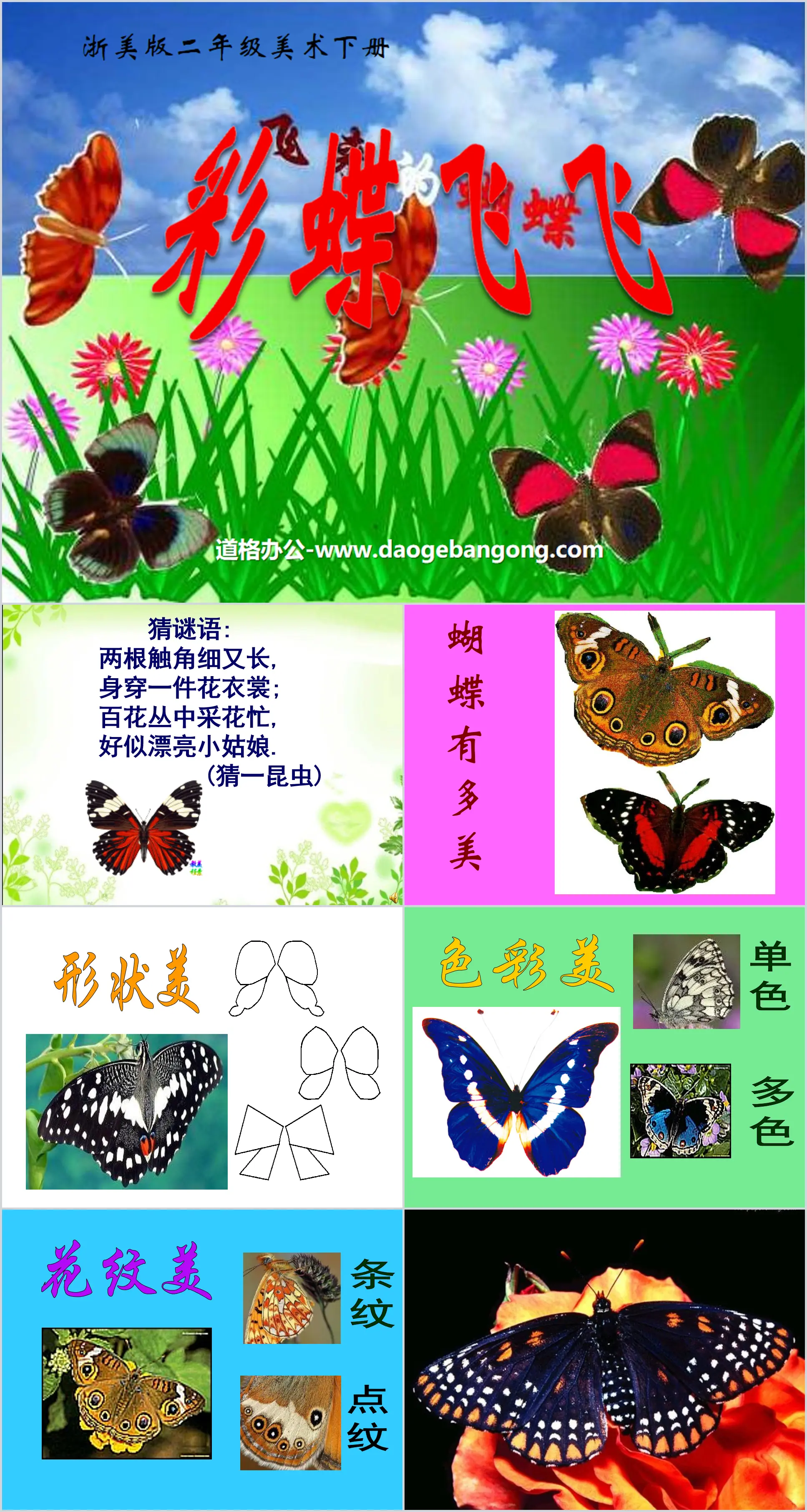 "Flying Butterflies" PPT courseware