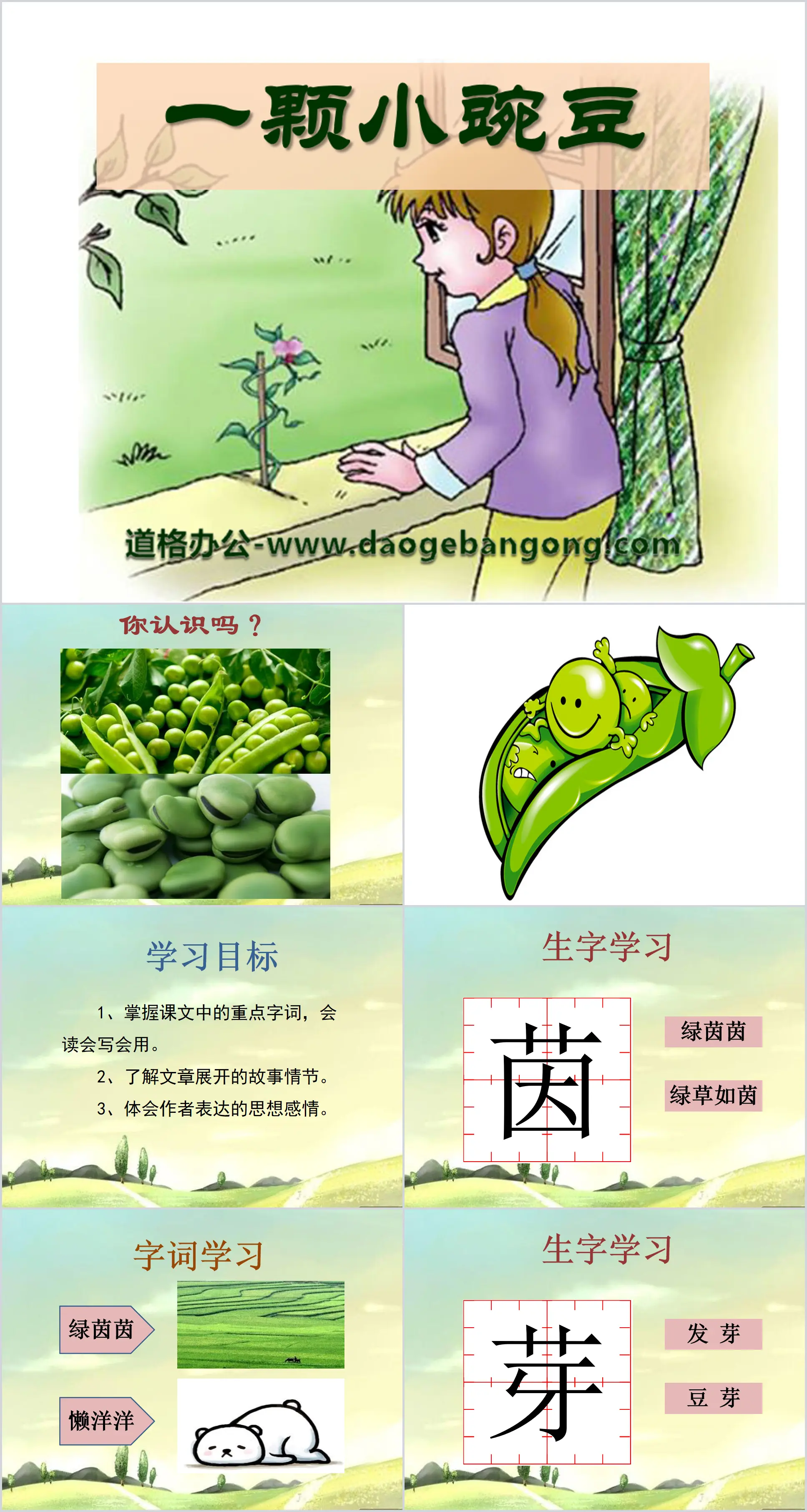 《一颗小碗豆》PPT课件2