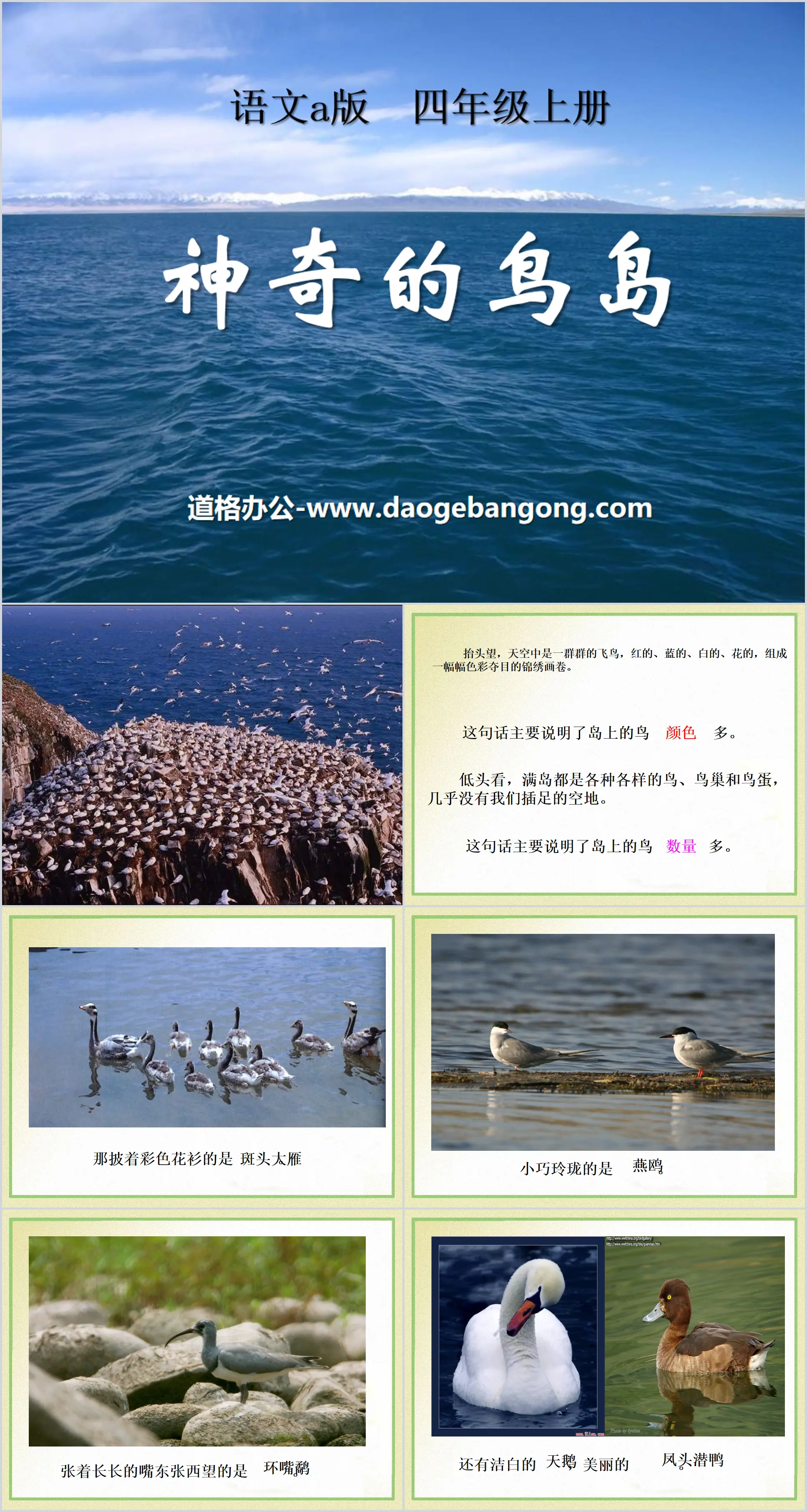 Didacticiel PPT "Magical Bird Island"