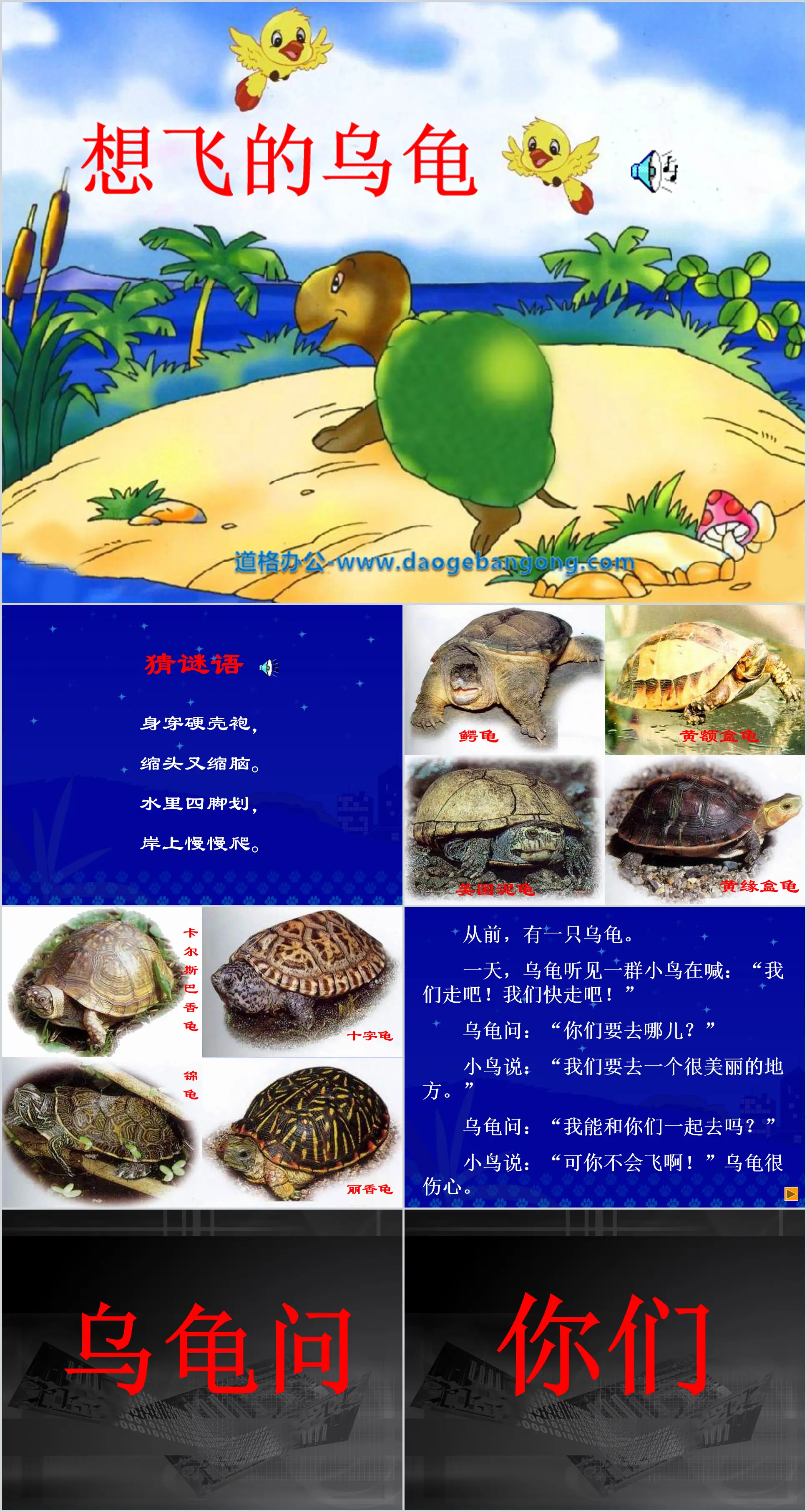 "The Turtle Wants to Fly" PPT courseware