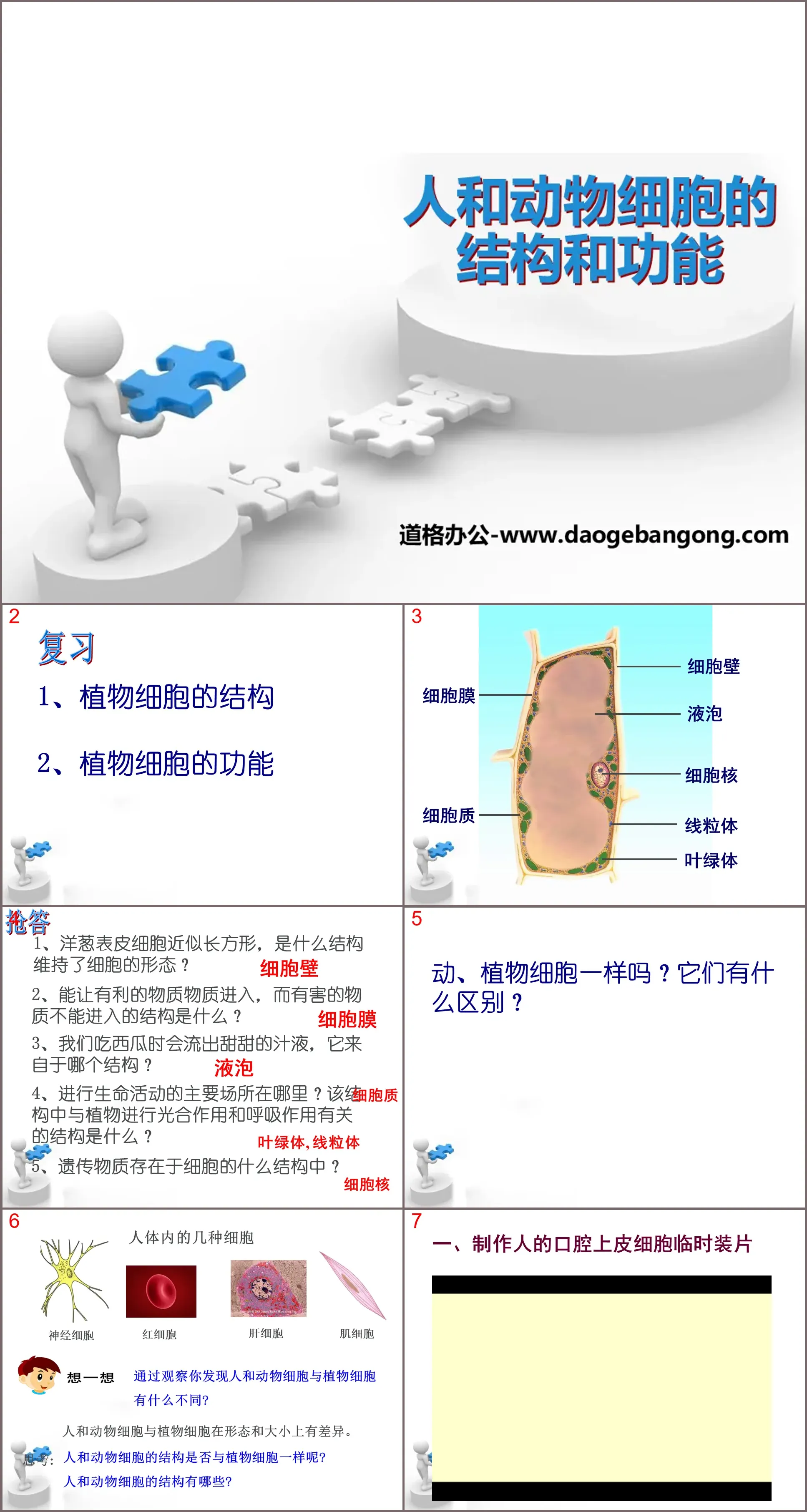 《人類與動物細胞的結構與功能》PPT課件