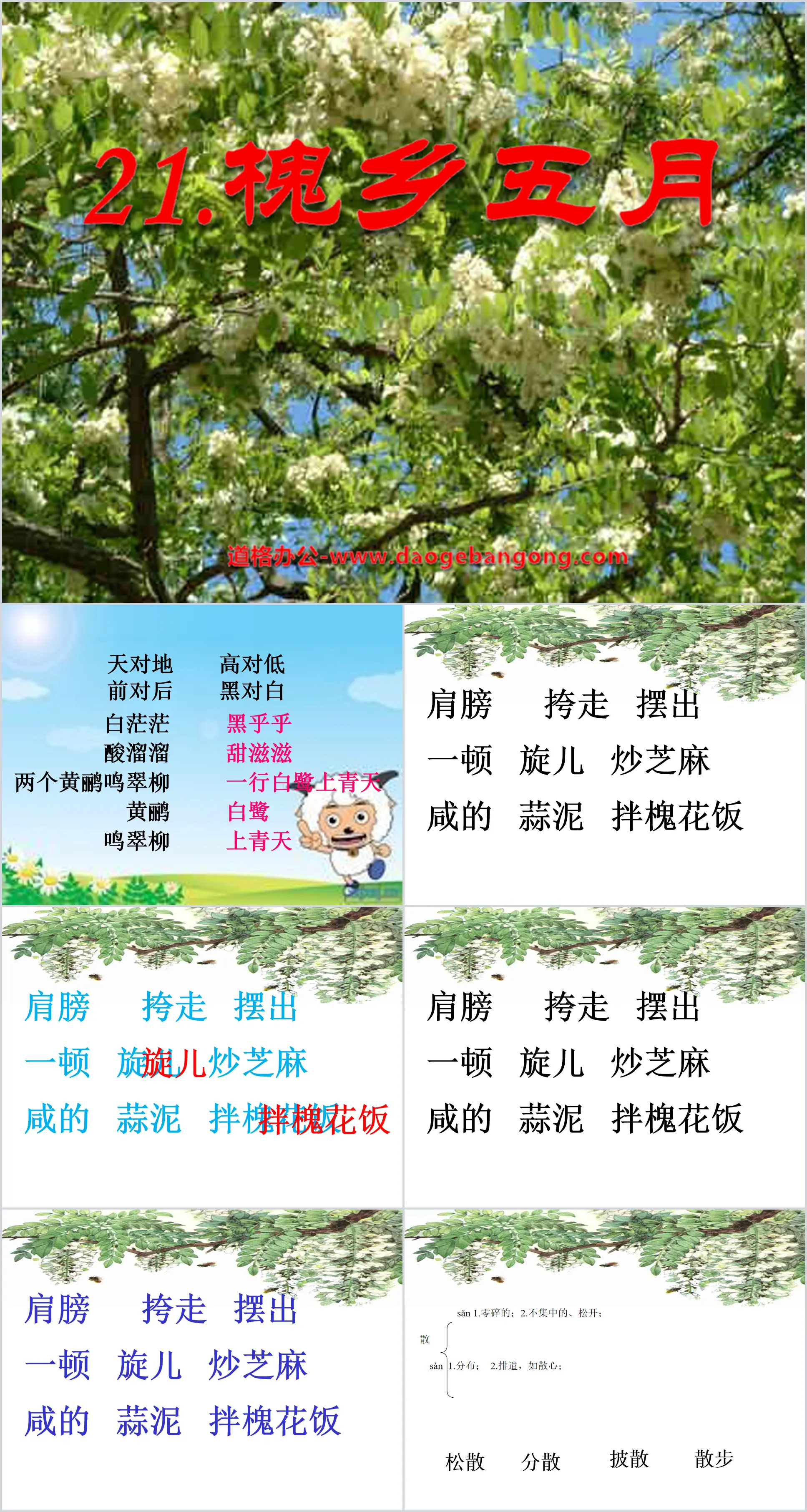 《槐乡五月》PPT课件4
