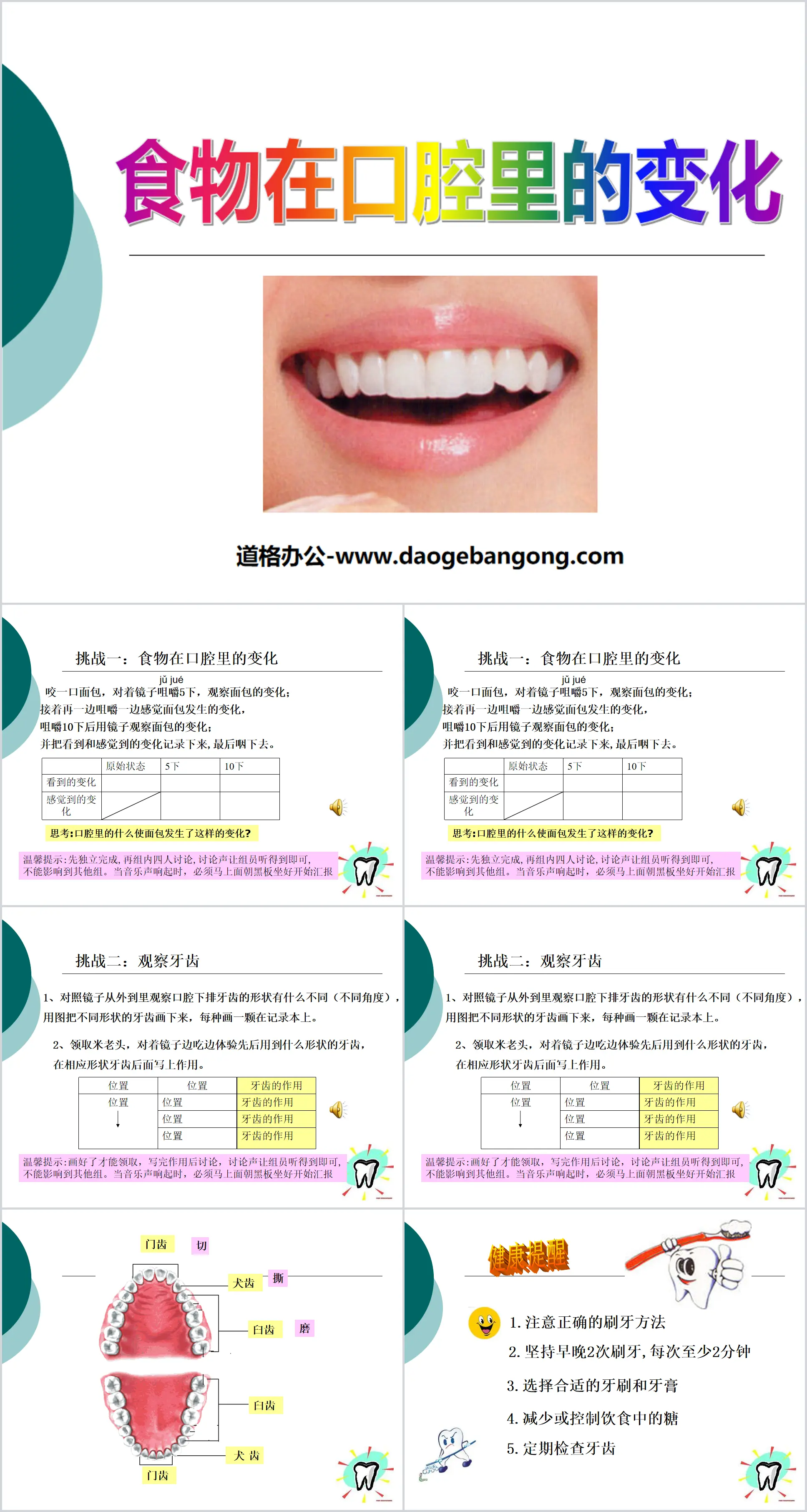 《食物在口腔里的变化》我们的身体PPT课件3
