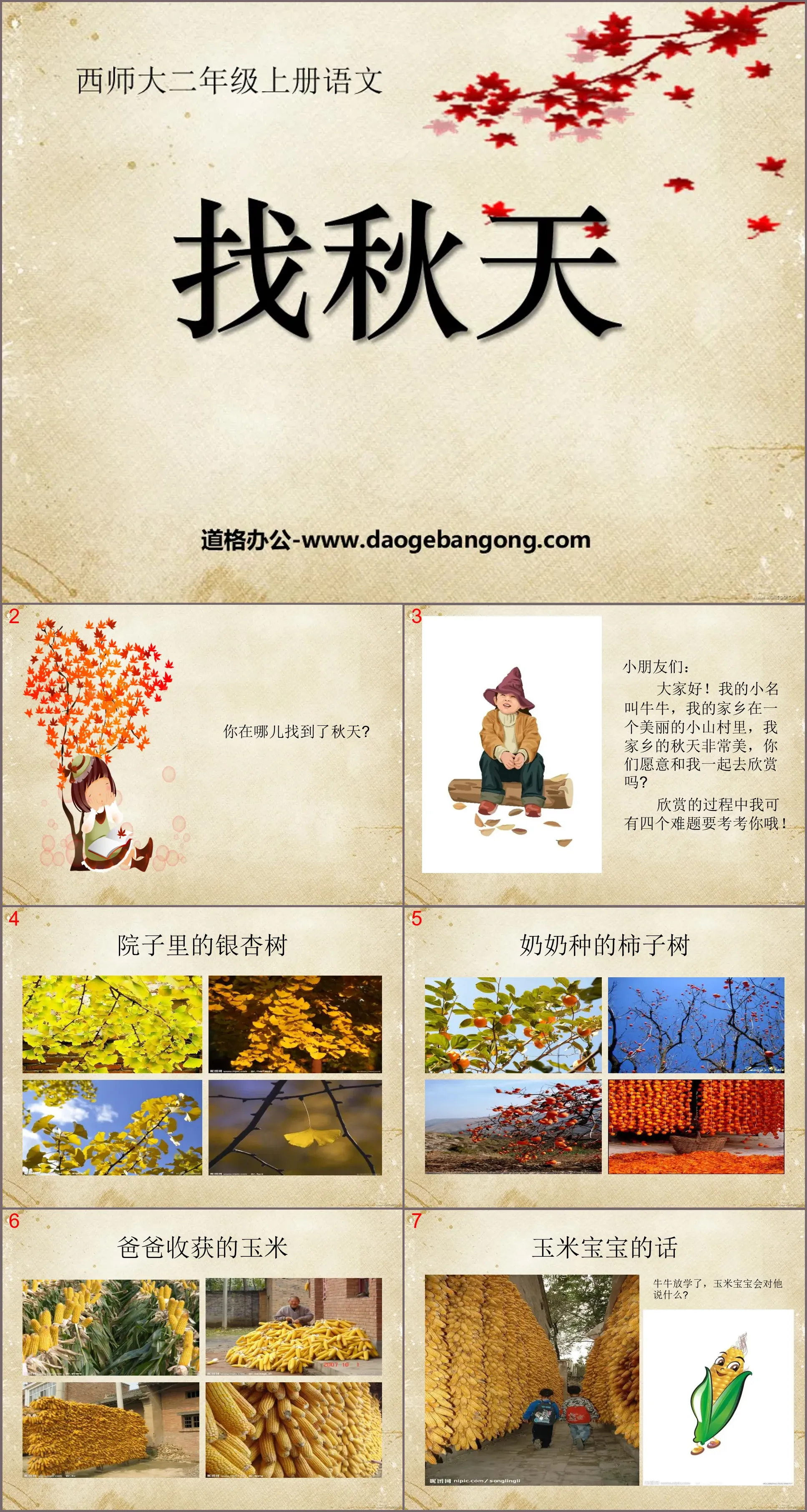 "Looking for Autumn" PPT courseware 2