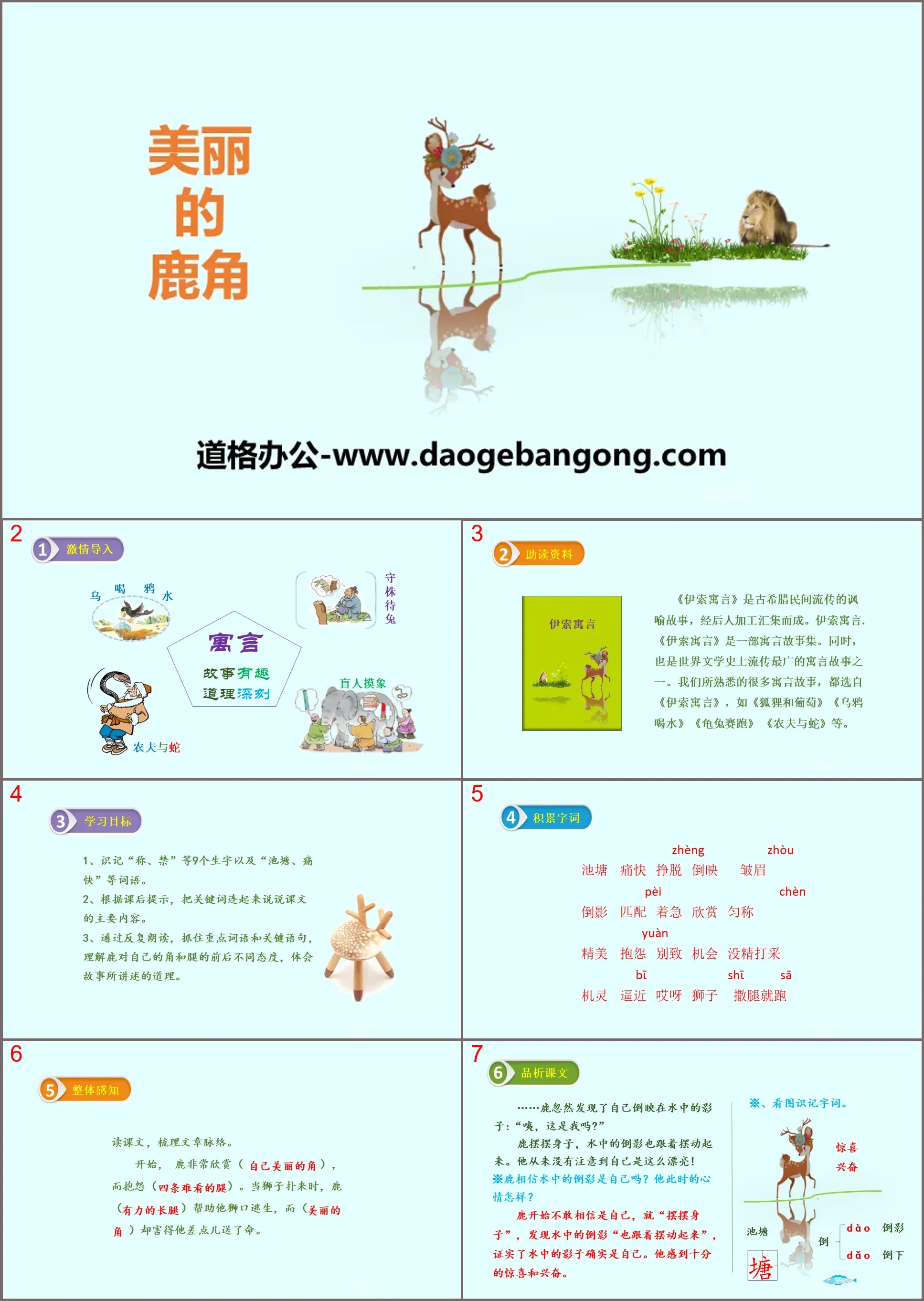 《美丽的鹿角》PPT