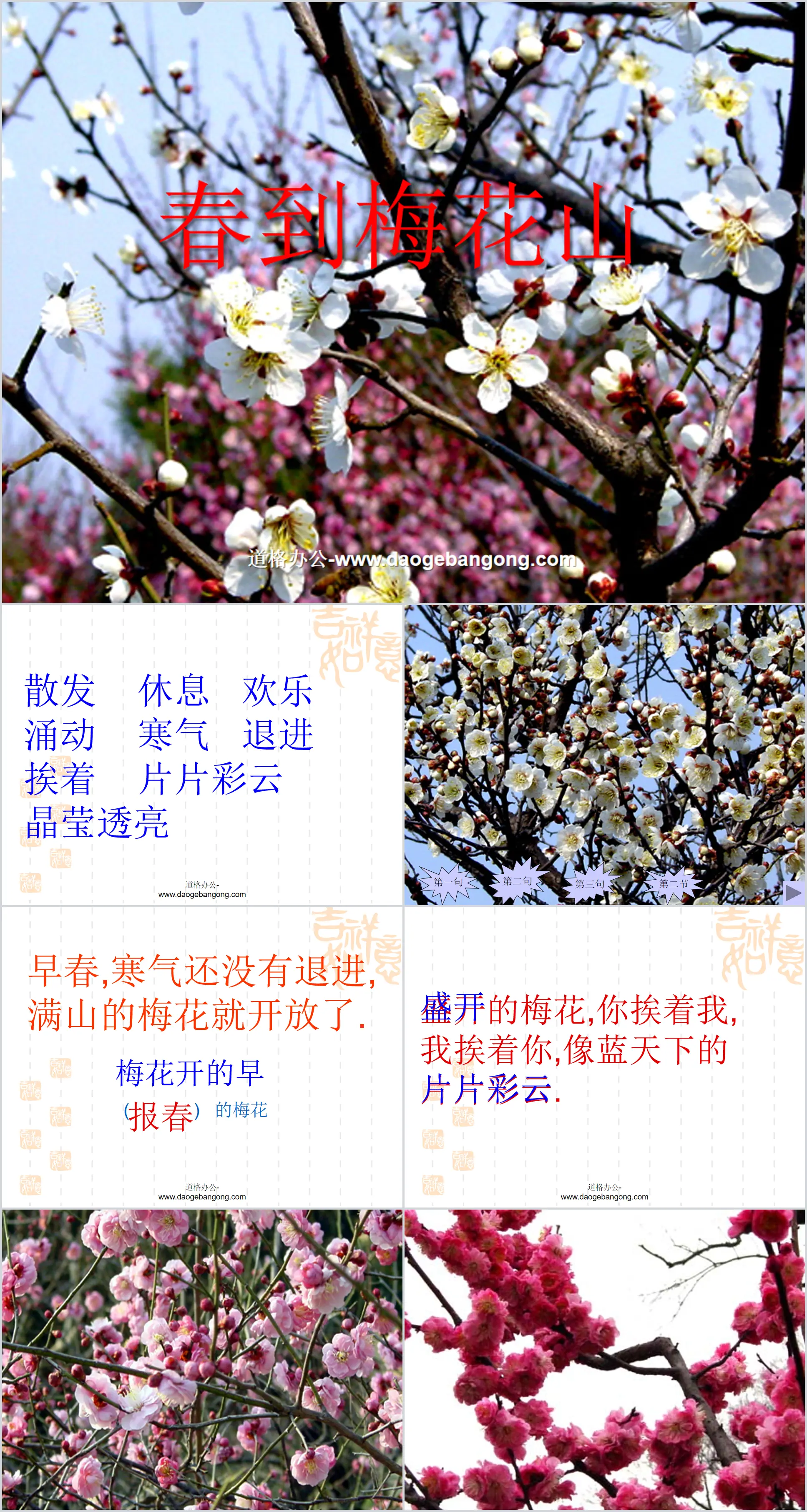 "Spring Arrives at Plum Blossom Mountain" PPT courseware