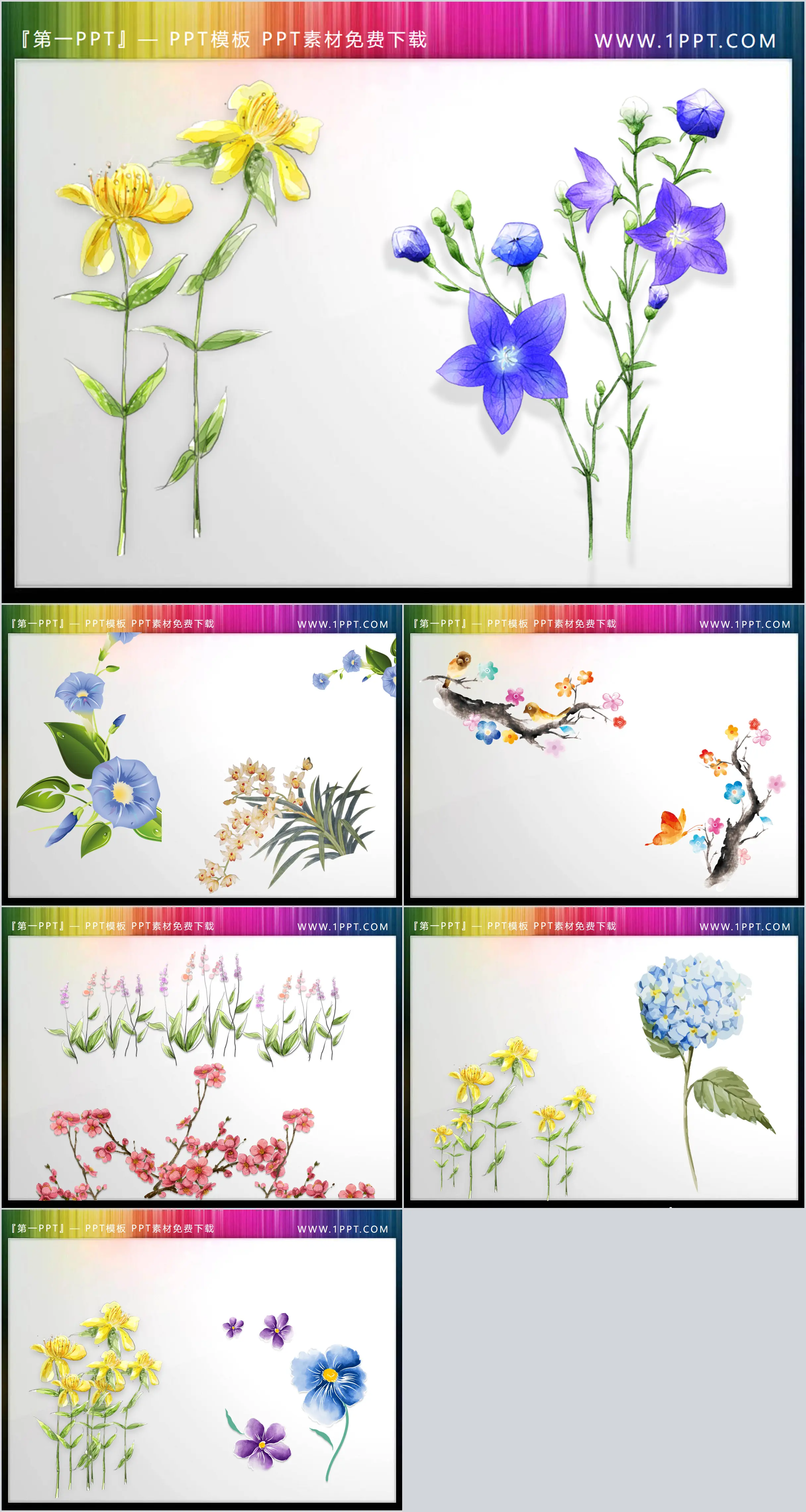 A group of beautiful watercolor flowers PPT illustrations