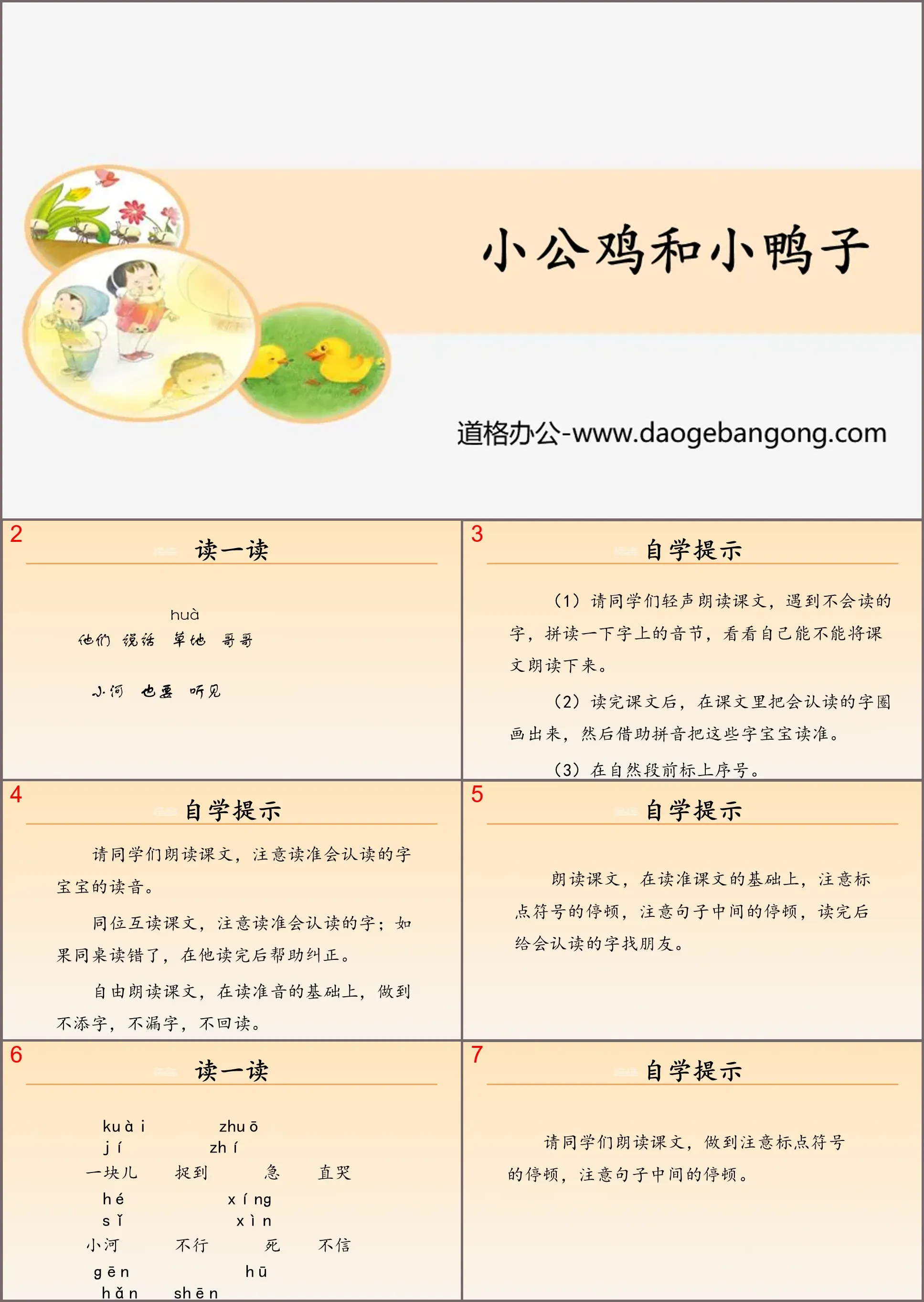 《小公鸡和小鸭子》PPT教学课件