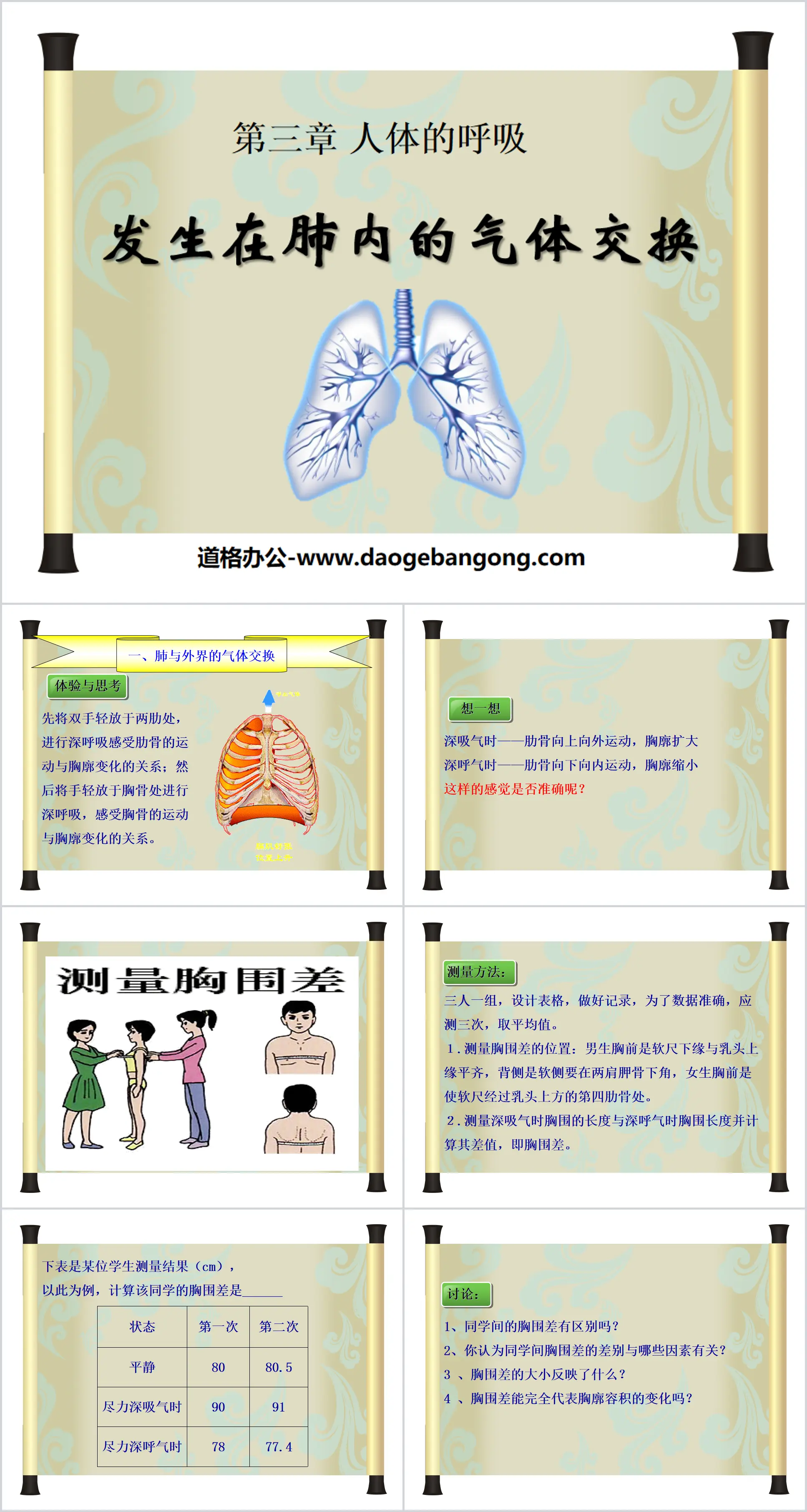 《发生在肺内的气体交换》人体的呼吸PPT课件3
