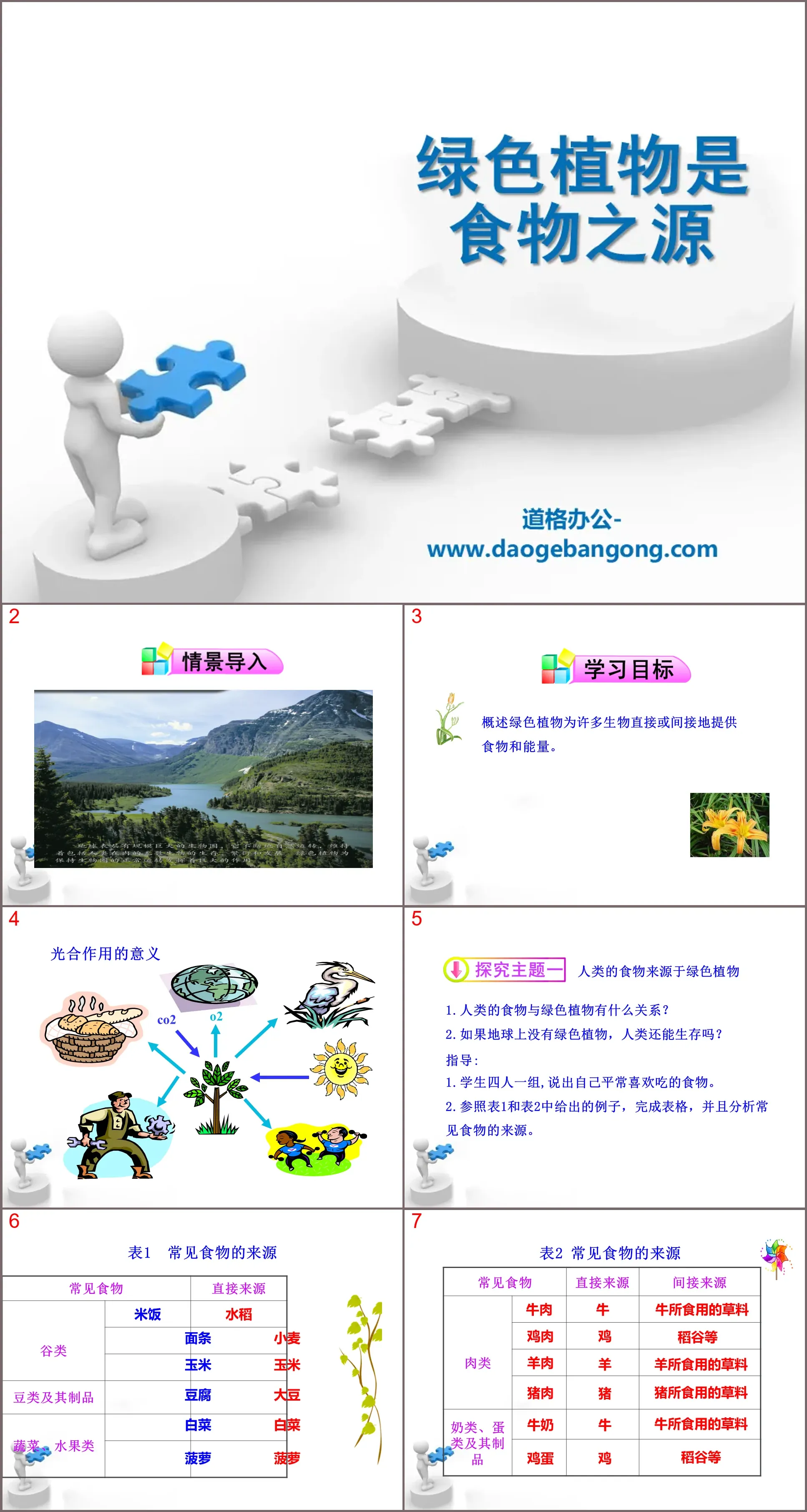 《绿色植物是食物之源》PPT