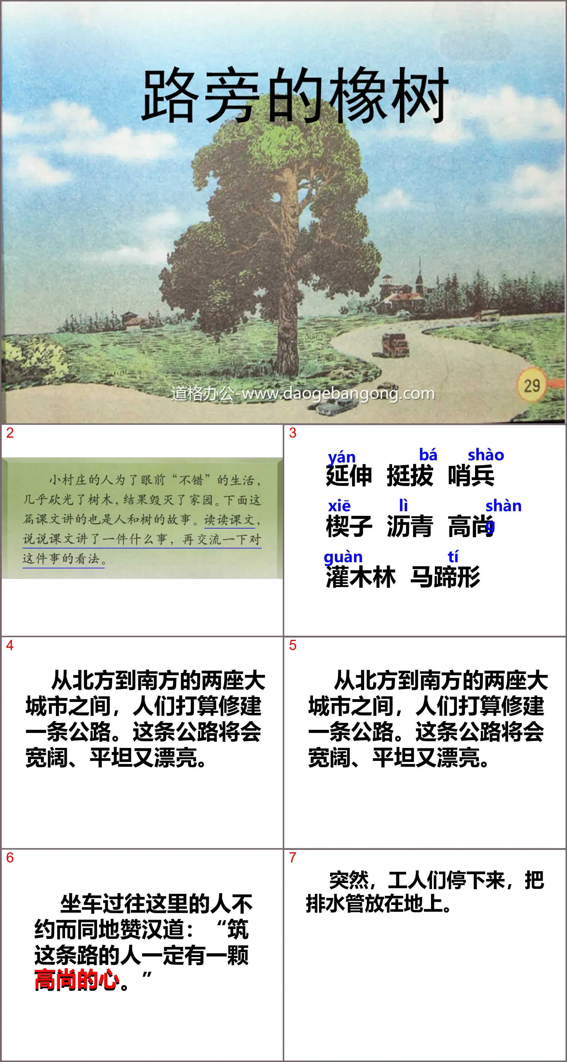 《路旁的橡樹》PPT課件4