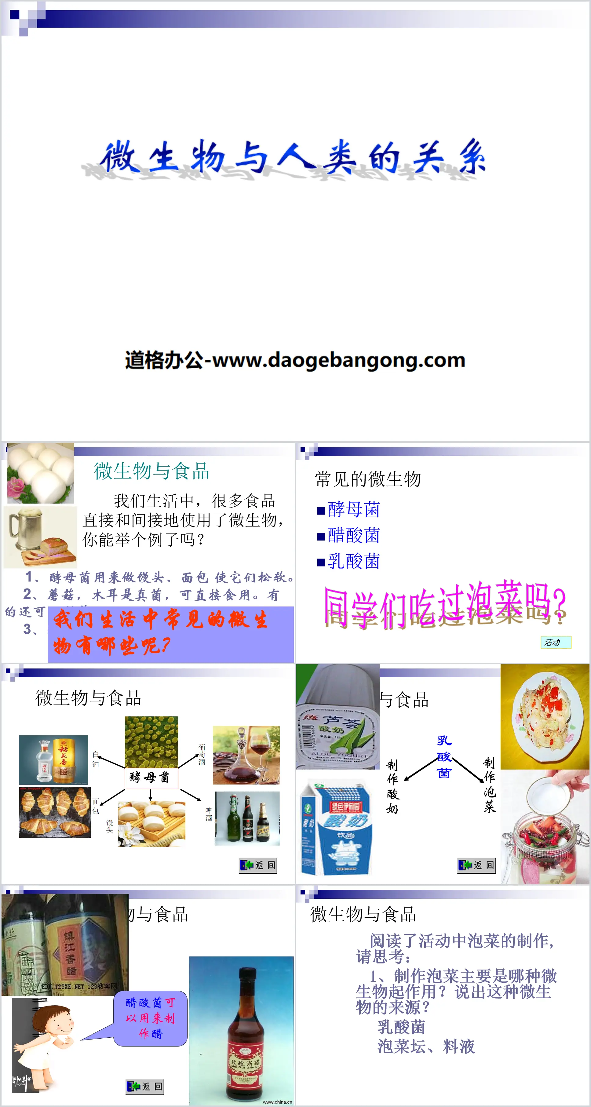 "The Relationship between Microorganisms and Humans" PPT courseware