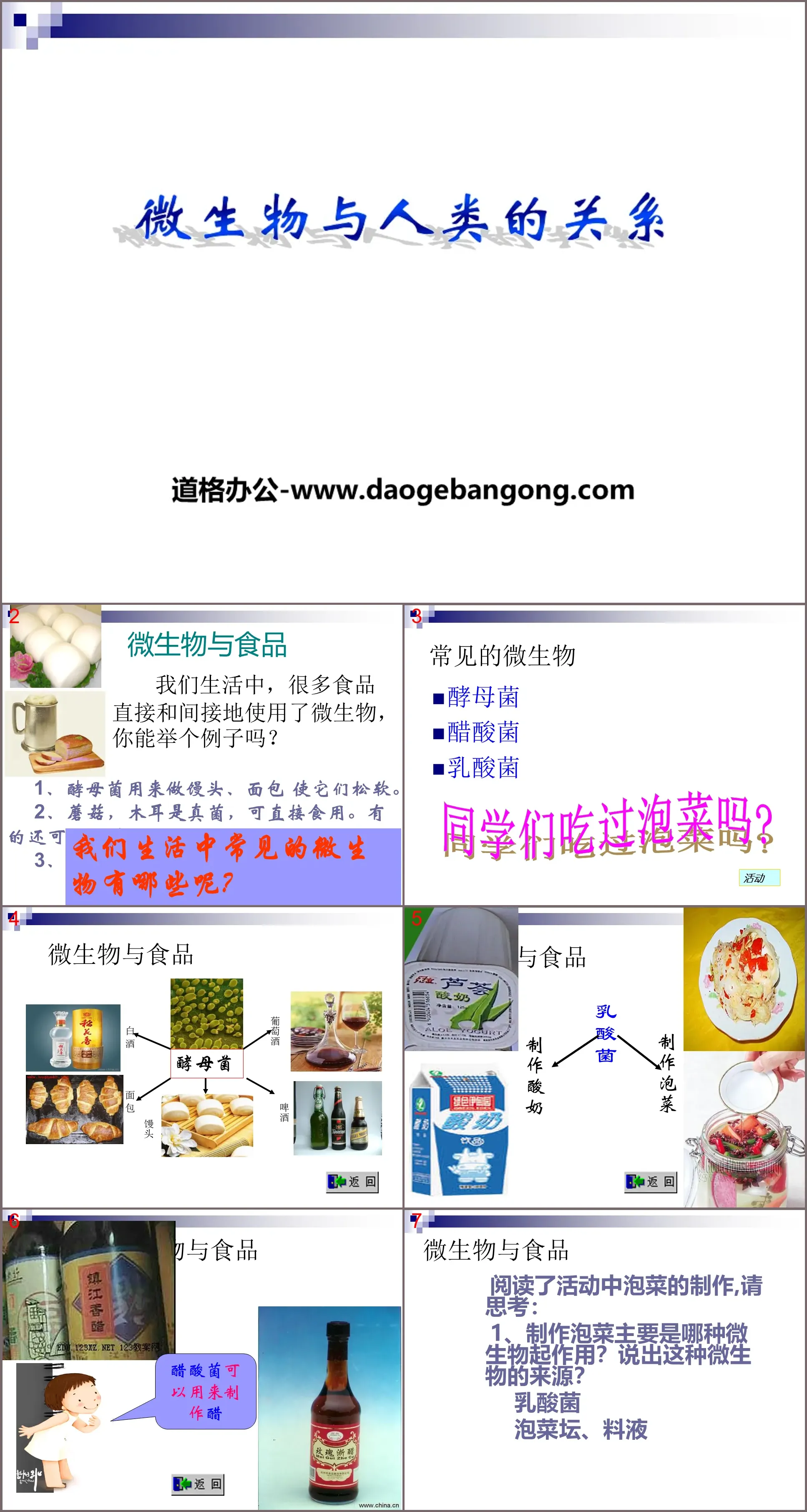 "The Relationship between Microorganisms and Humans" PPT courseware