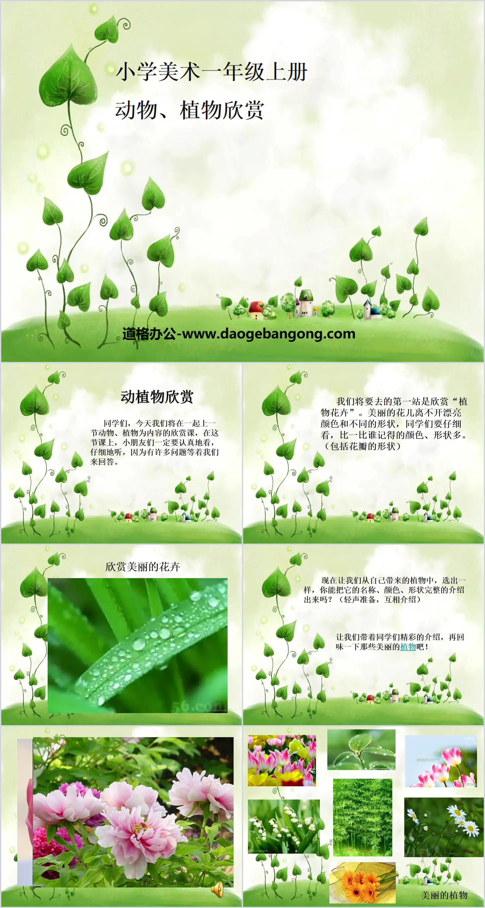 《动物、植物欣赏》PPT课件
