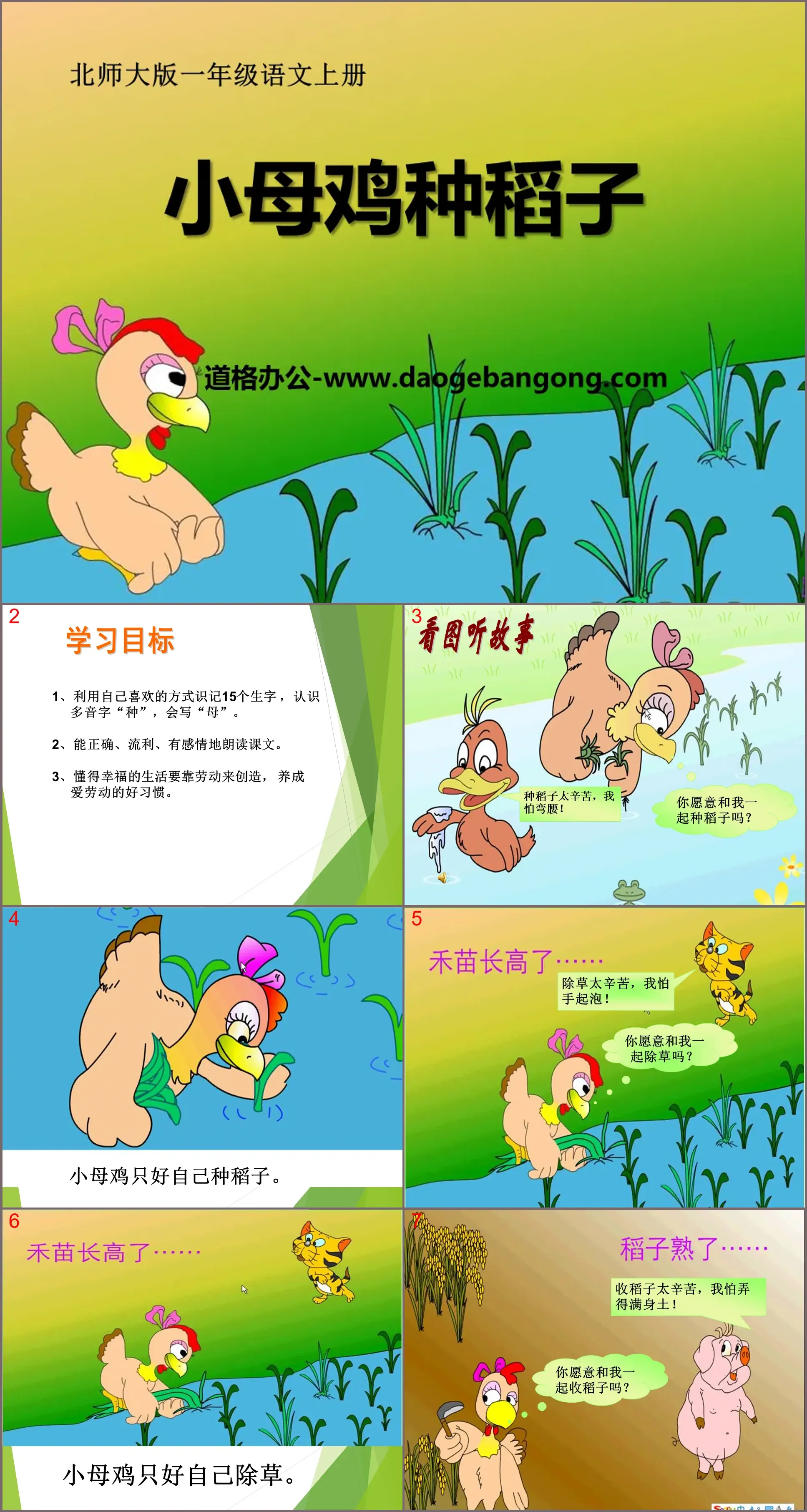 《小母鸡种稻子》PPT