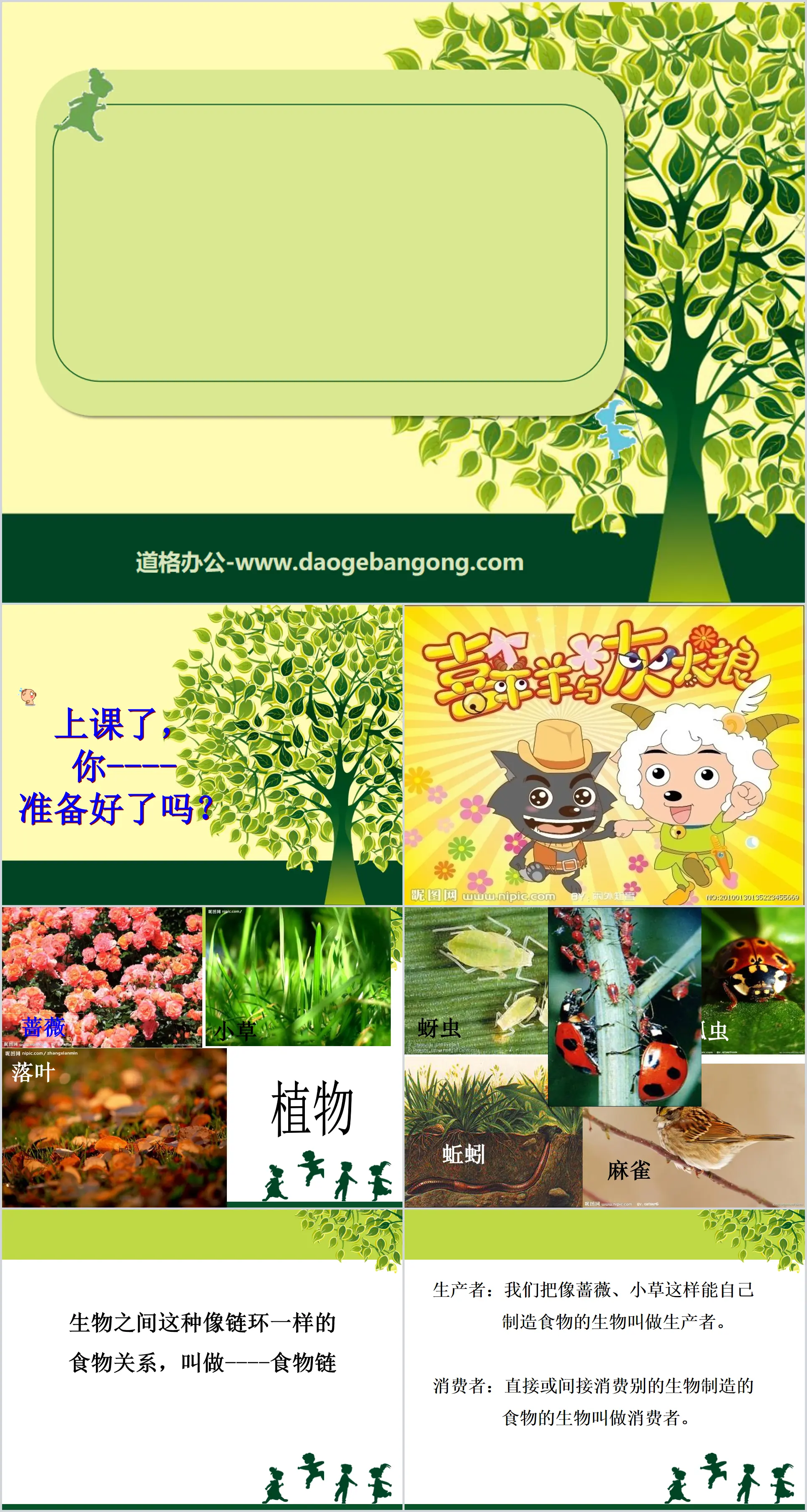 《食物链和食物网》生物与环境PPT课件
