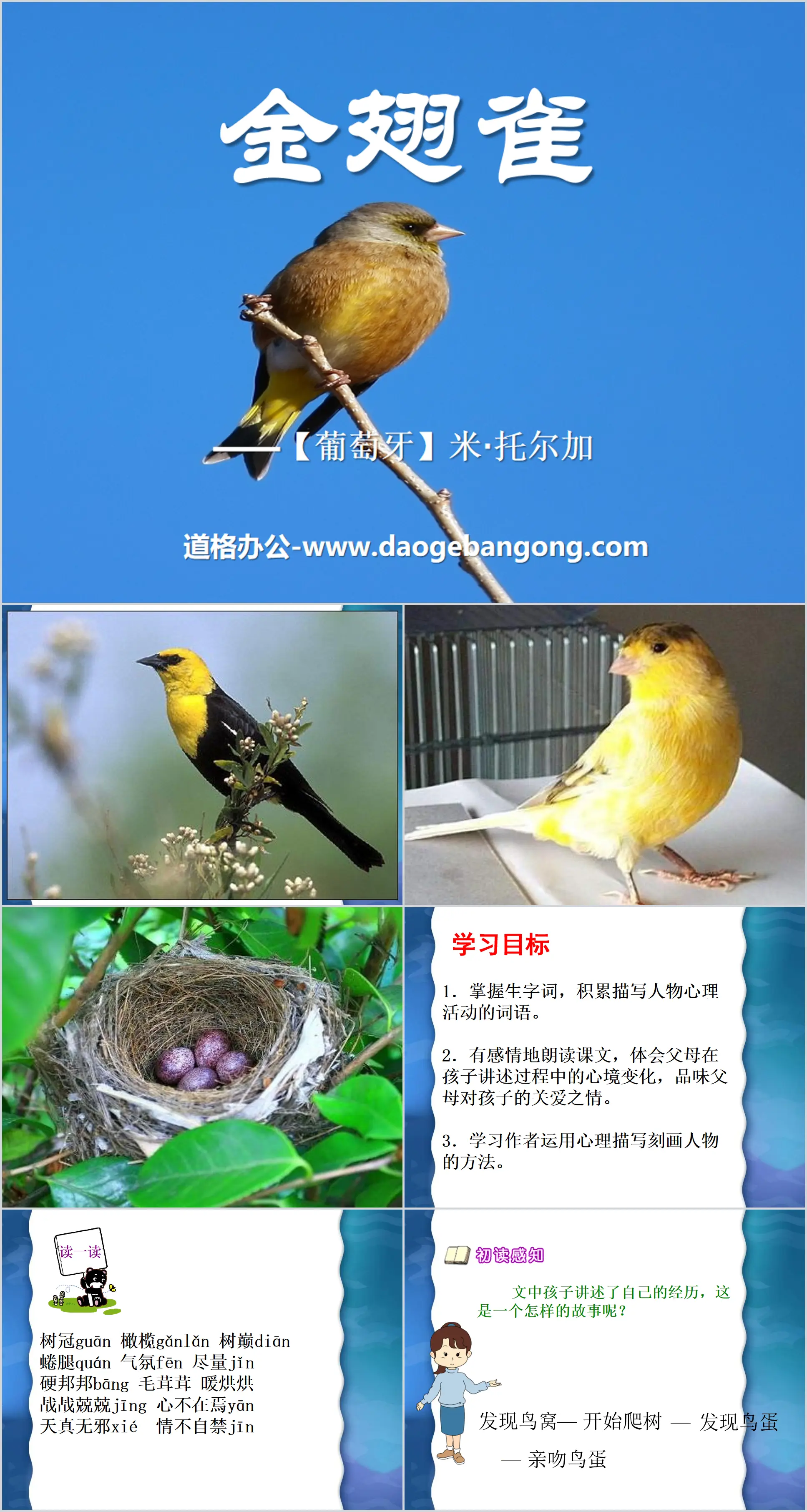 "The Goldfinch" PPT courseware 3