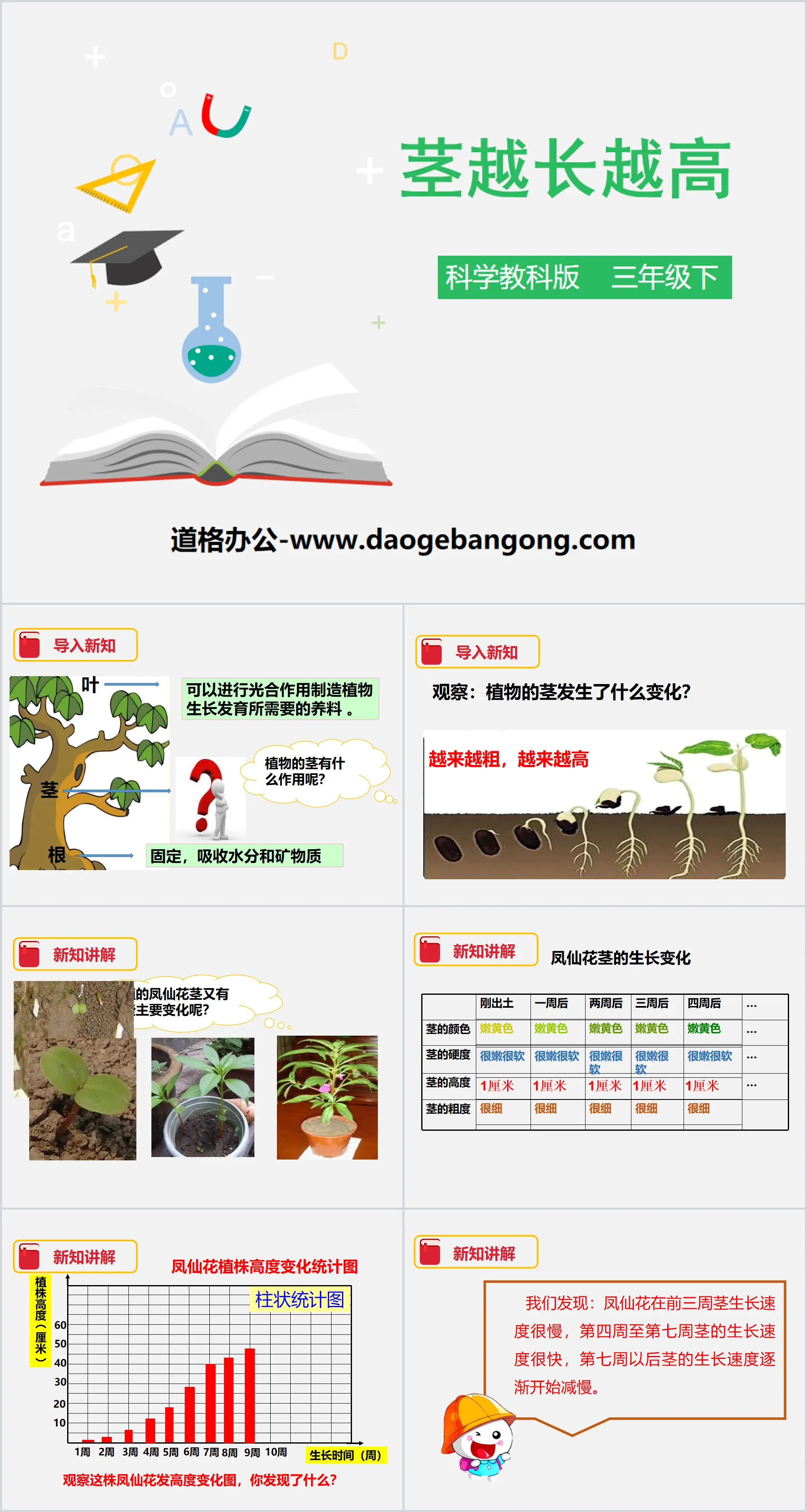 《茎越长越高》植物的生长变化PPT
