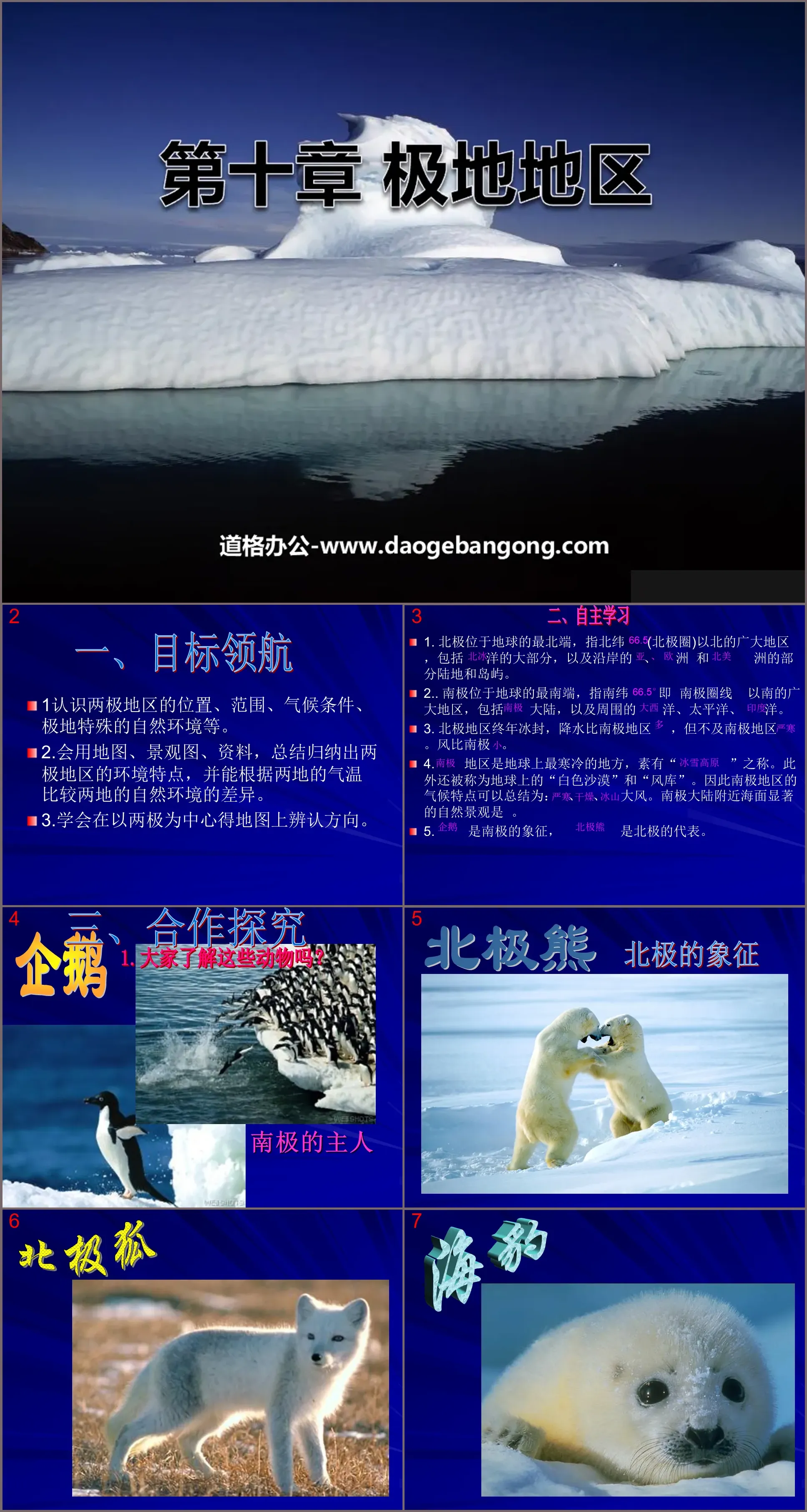 "Polar Regions" PPT courseware 4