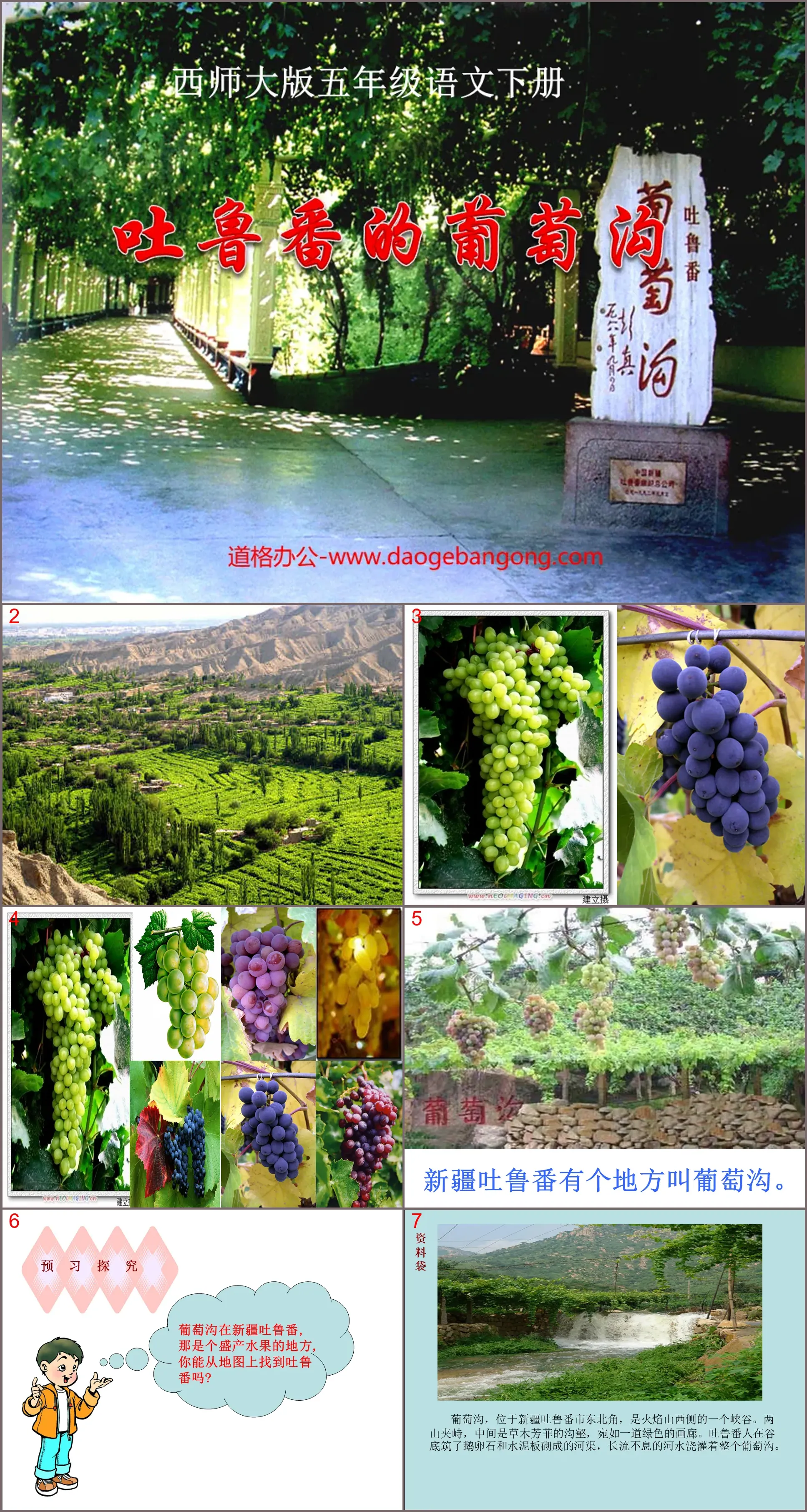 "Grape Valley in Turpan" PPT courseware 3