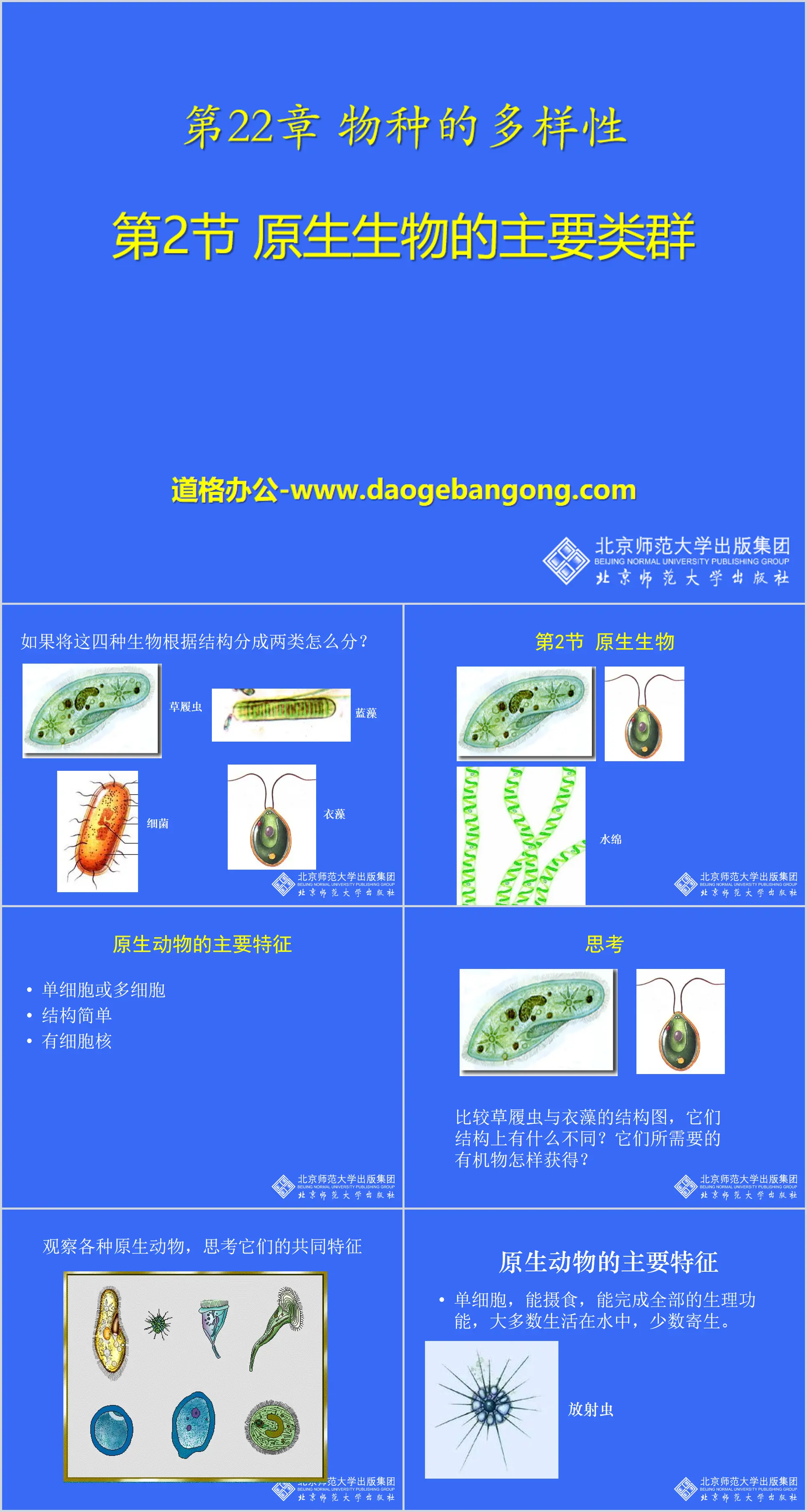 "Main Groups of Protists" PPT