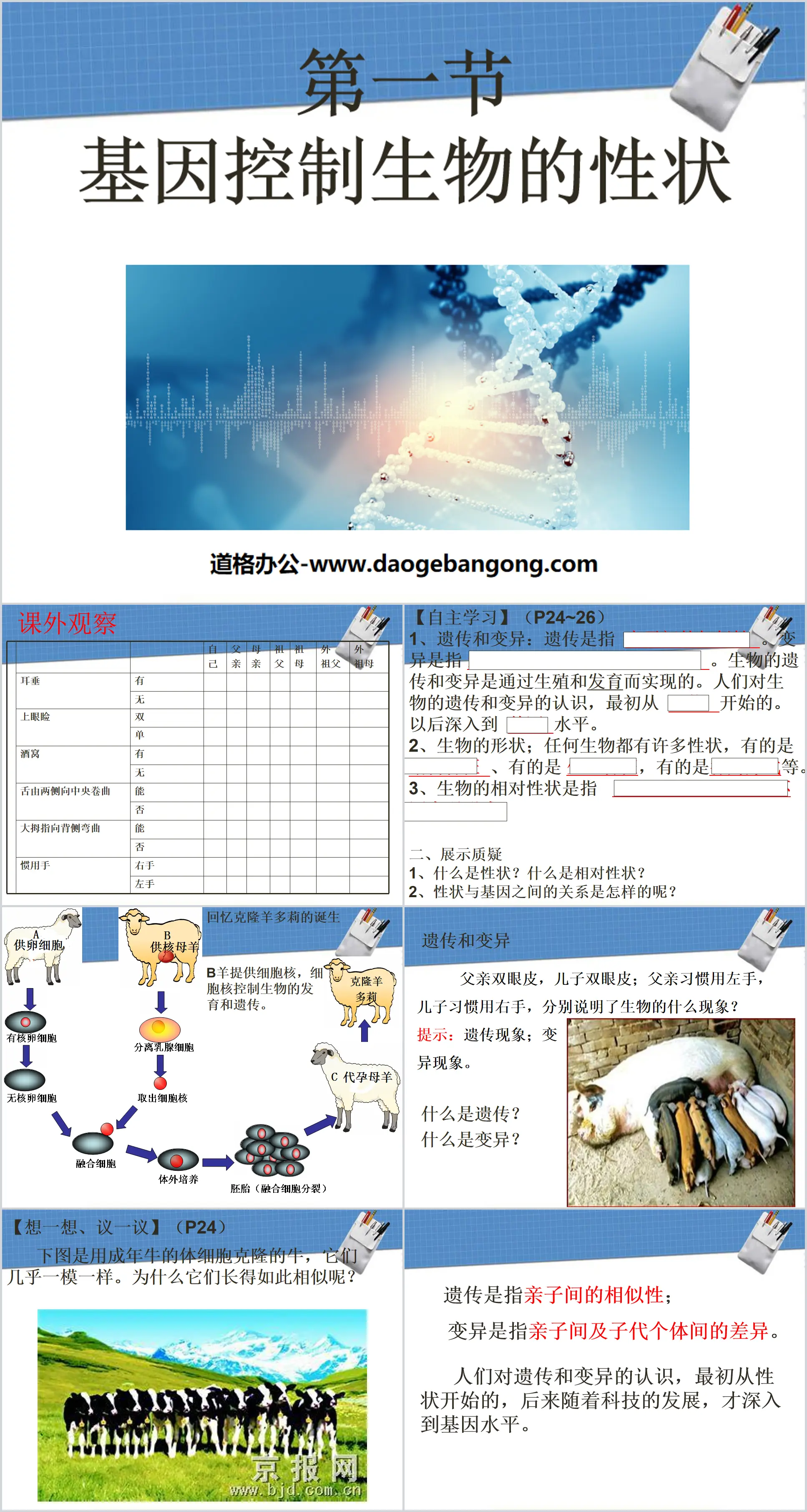 "Genes Control Biological Traits" Biological Inheritance and Variation PPT Courseware 2