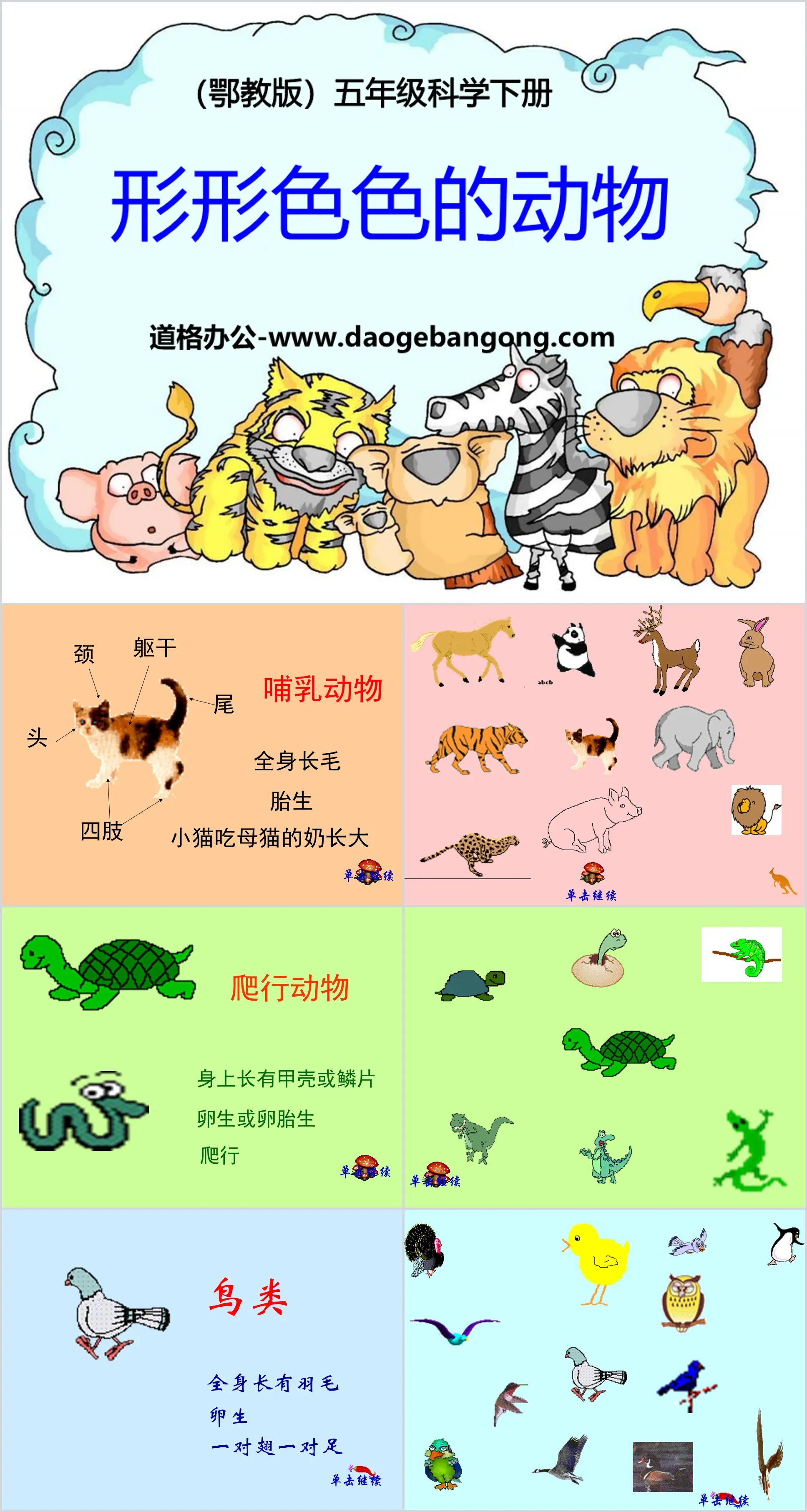 "Various Animals" PPT courseware