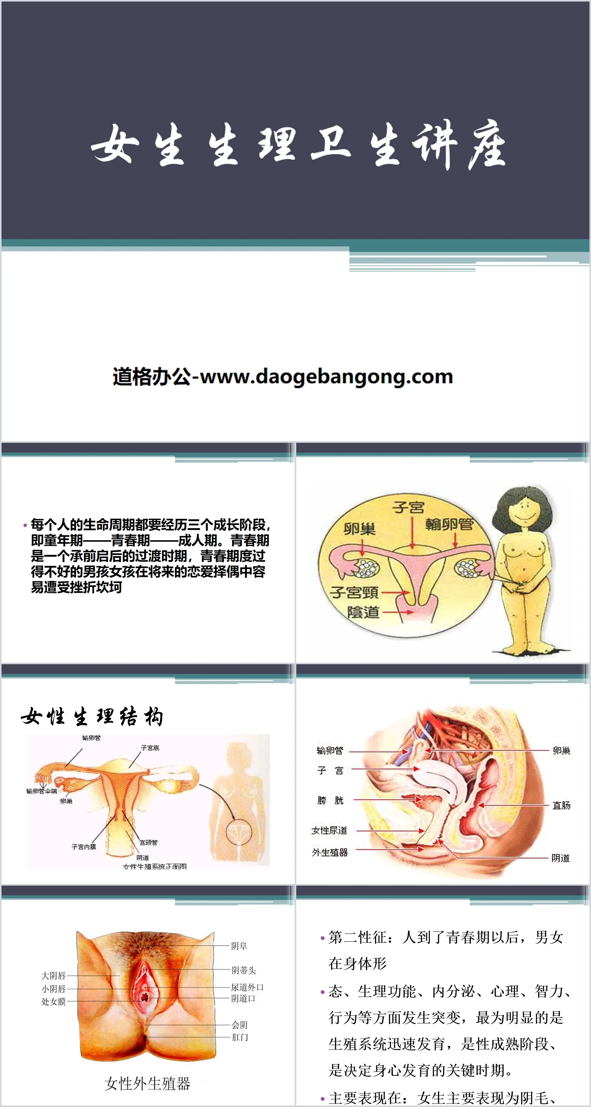 《女生生理衛生講課》PPT