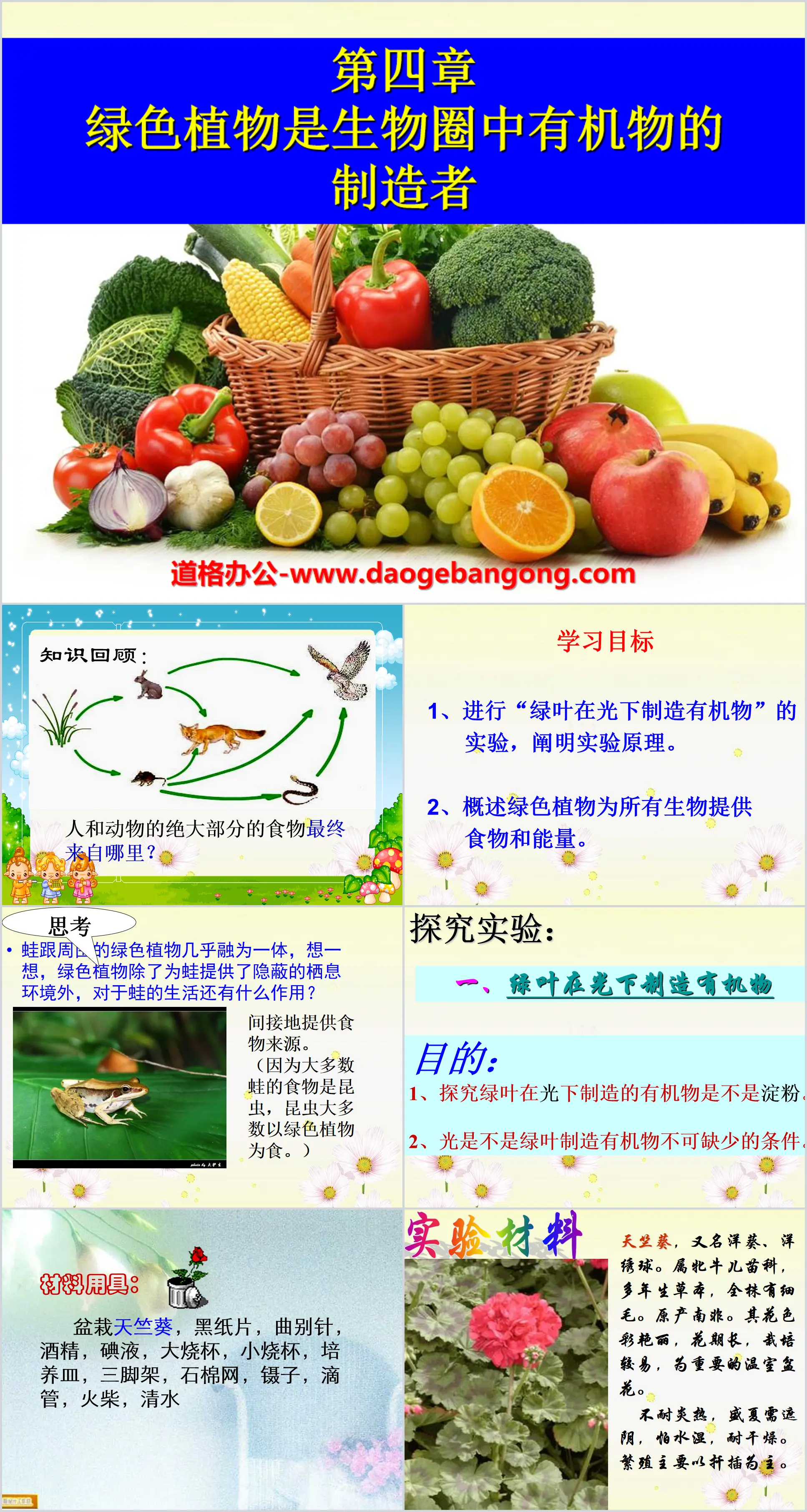 《綠色植物是生物圈中有機物的製造者》PPT課件2